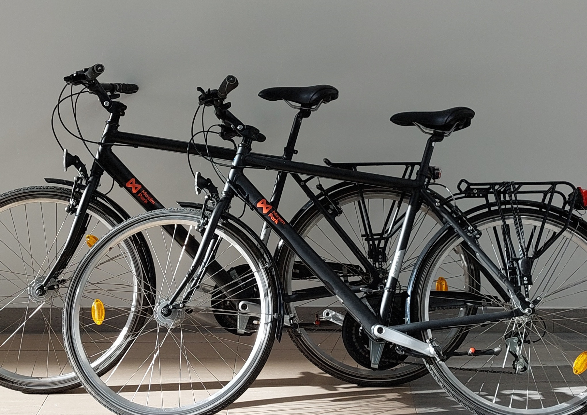 Bike Maintenance Day 