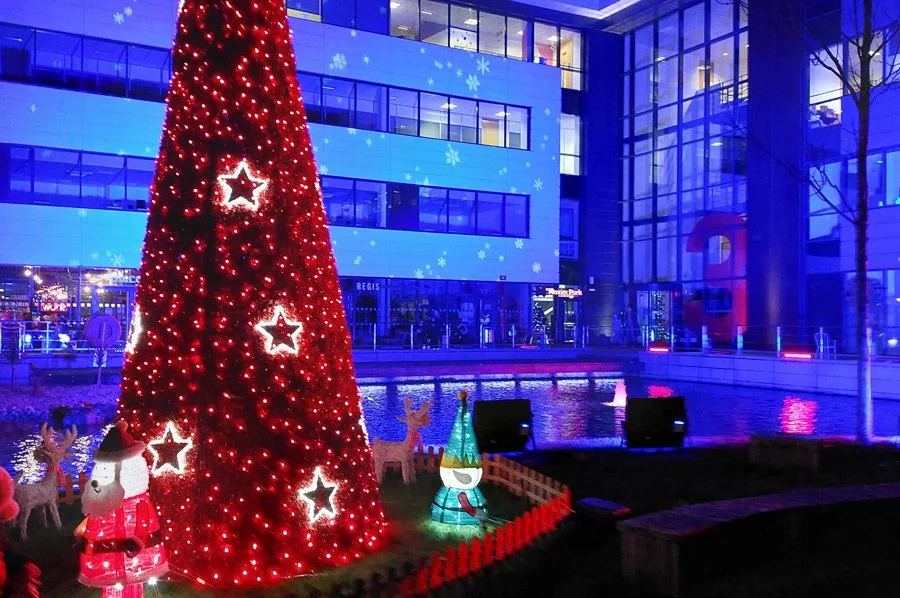 Christmas tree and lights at Maxim Park