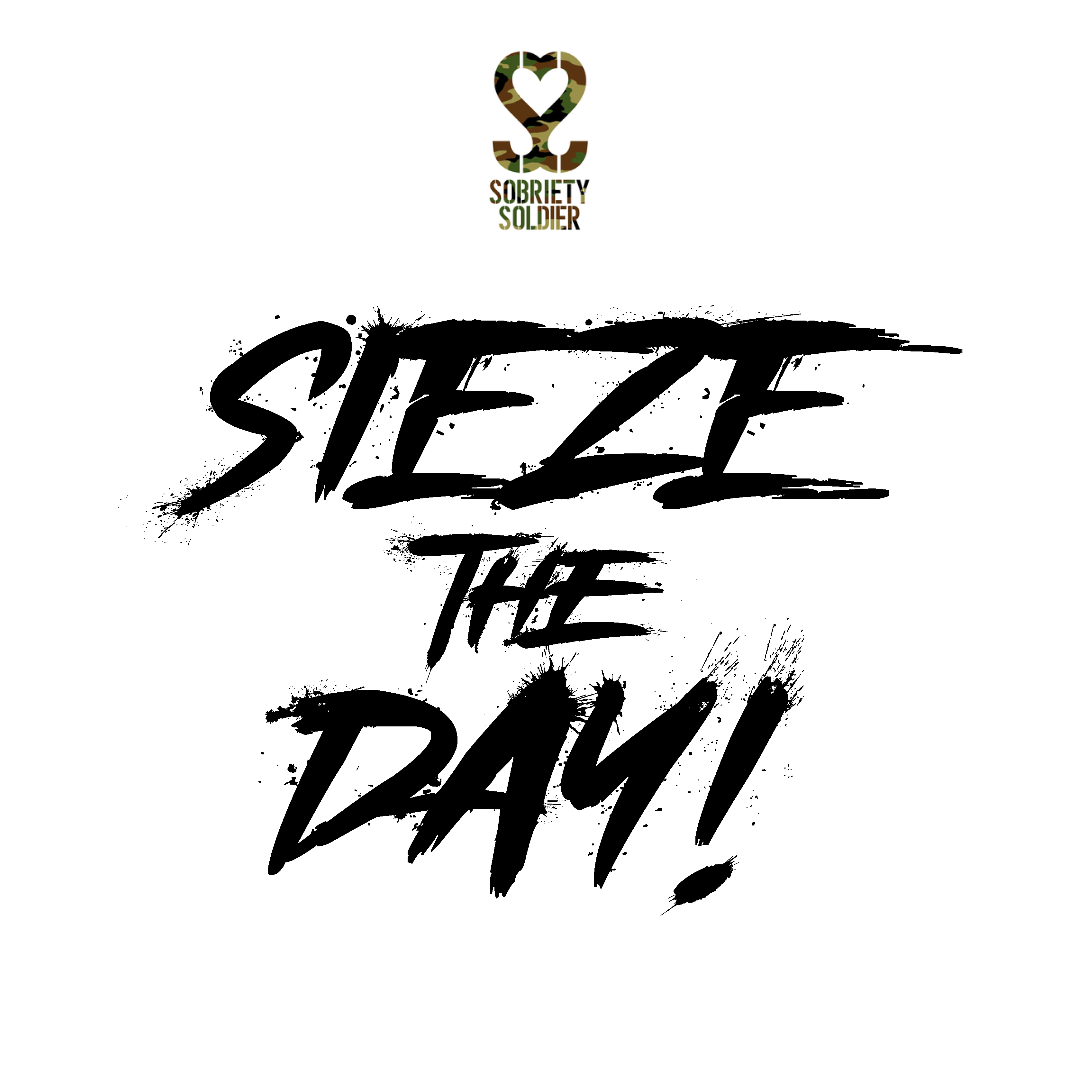 IMAGES — SOBRIETY SOLDIER