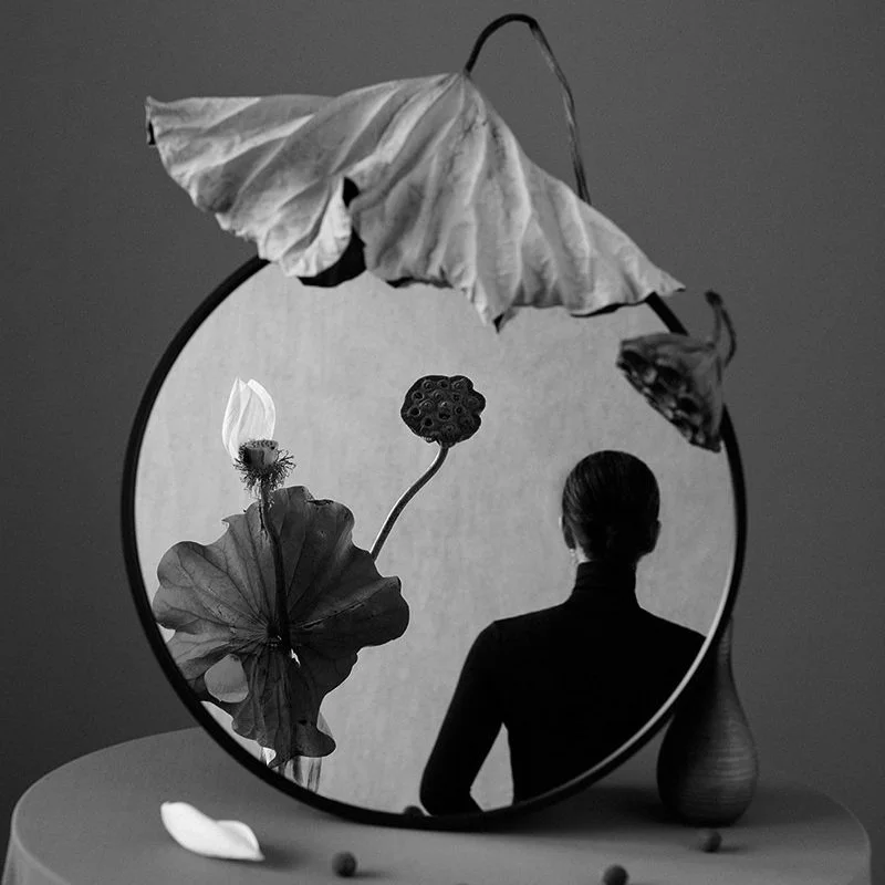 Lotus |Samsara