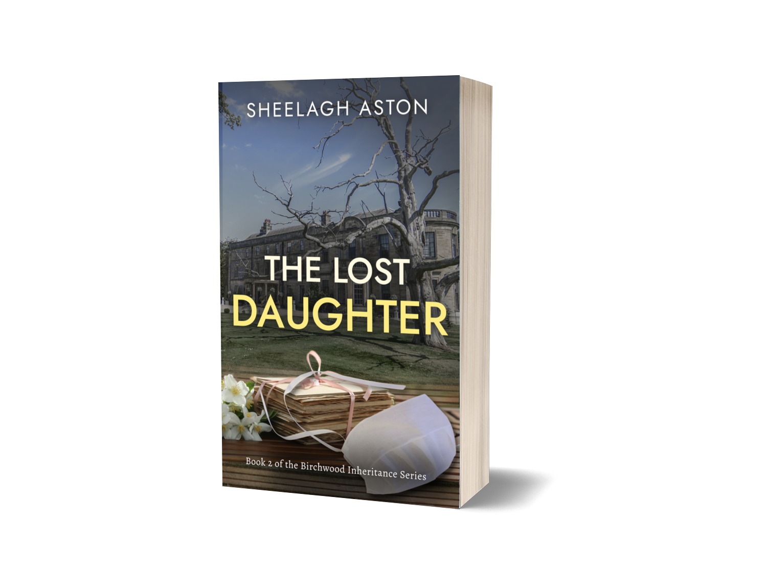 The Lost Daughter by Sheelagh Aston