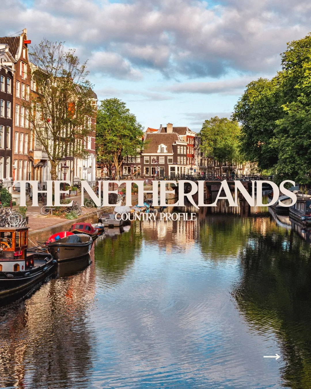 Some useful information for those considering a move to the Netherlands. Is there anything else you'd like to know or would find helpful? Let us know in the comments! ⬇️