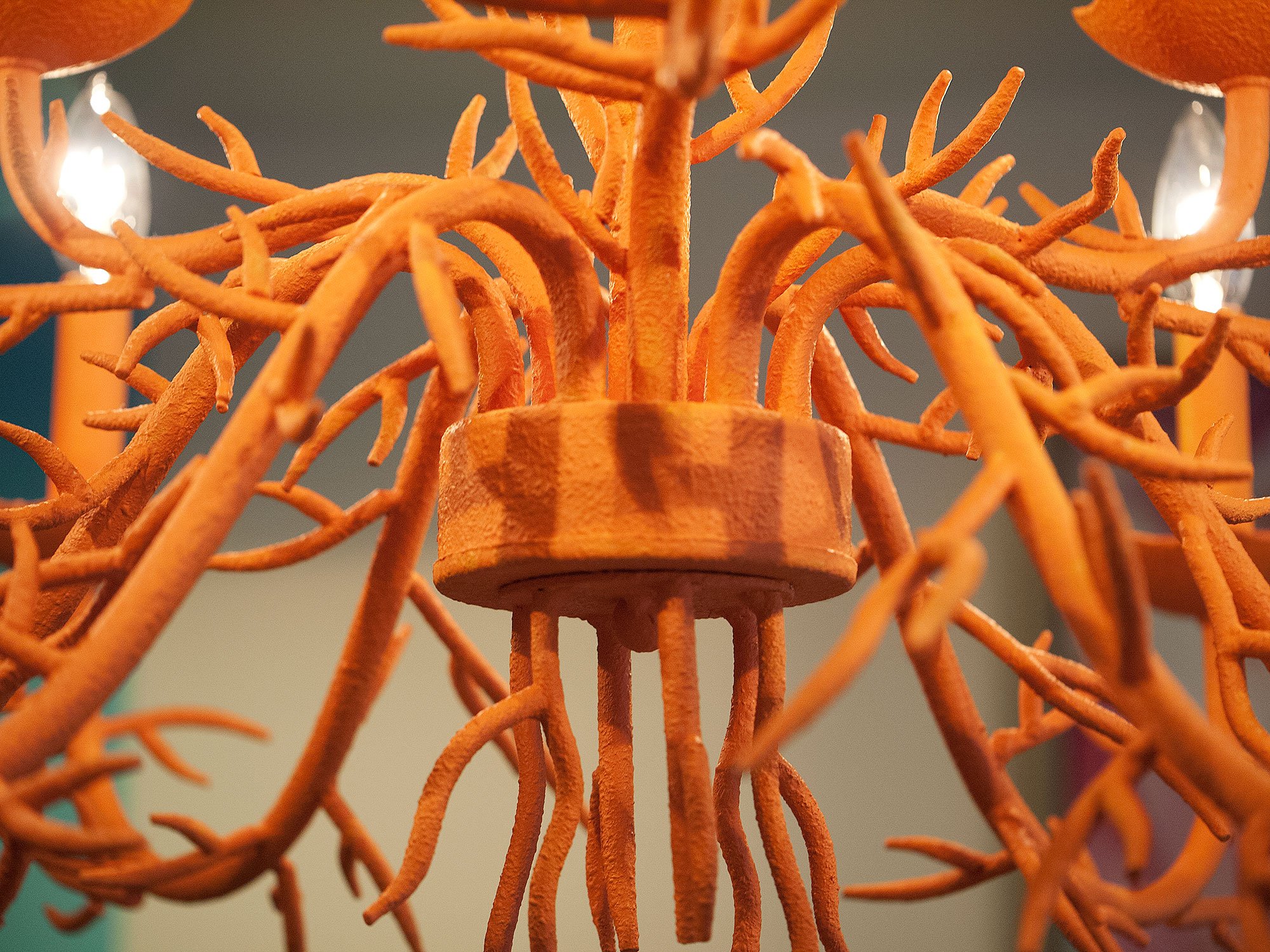 chandelier feature by red carrot design inc