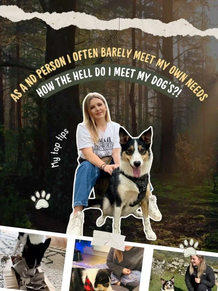 To whoever needs to hear this:

Meeting your dog&rsquo;s and your own needs as a neurodivergent person can be HARD. Some days you have the energy and you come up with the best walks and creative activities for your dog, and most days you&rsquo;re exh