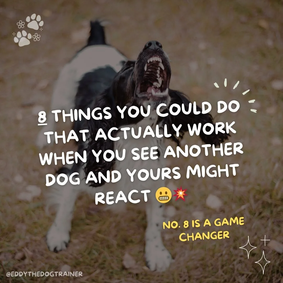 Save this so you&rsquo;ve got it ready for your next walk 🦮 because I really don&rsquo;t want walks to feel stressful for you every time you see another dog! 😫

👉🏻 If your dog gets fidgety, barks, lunges, or worse when another dog appears - you d