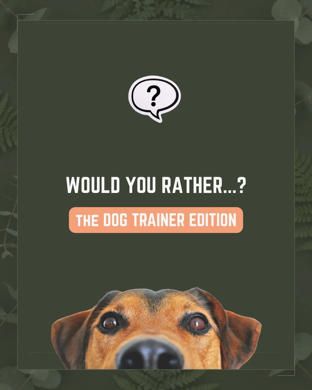 Which one would you rather? A or B? 

Did you know that I recently:

1. Launched an online community-based dog training platform for dog mums 👩&zwj;💻 with now 200+ training and behaviour resources, where you can work with your dog at your own pace,