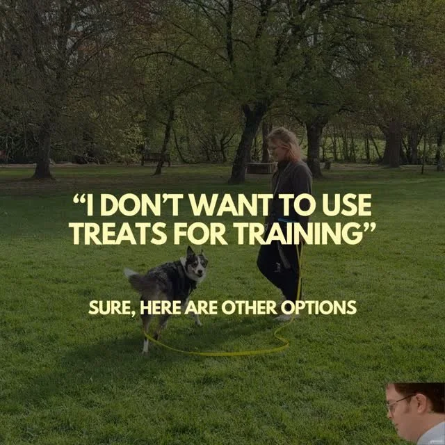Don't judge as I'm always so late with jumping on trends and memes and sometimes I&rsquo;m not sure how to do it 🤣 
BUT I needed a bit of Dwight's help with this one because I hear this objection ALL the time and I see people use food in the ways th
