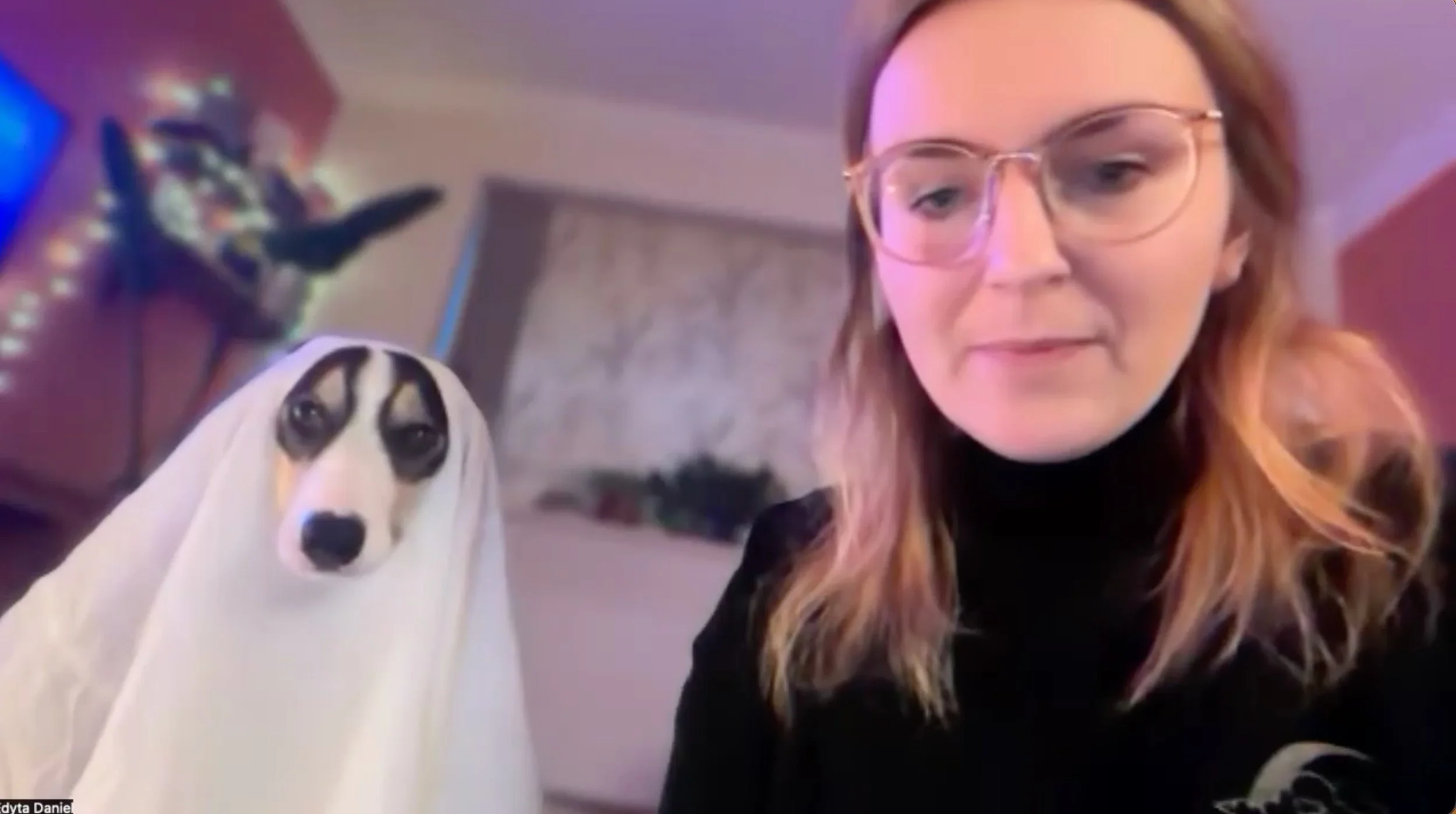 Genuinely don&rsquo;t care about the algorithm right now just wanted to show off our spooky 👻 Training Club we did this evening inside The Confident Dog Mum Club 😂 🧟&zwj;♀️

We learned &lsquo;play ded&rsquo; 😵 and &lsquo;hide&rsquo; 🫣

Fun trick