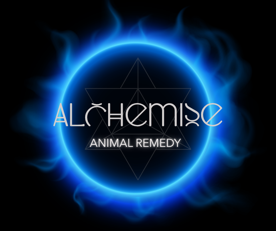 Alchemise Animal Support Remedy - 30ml