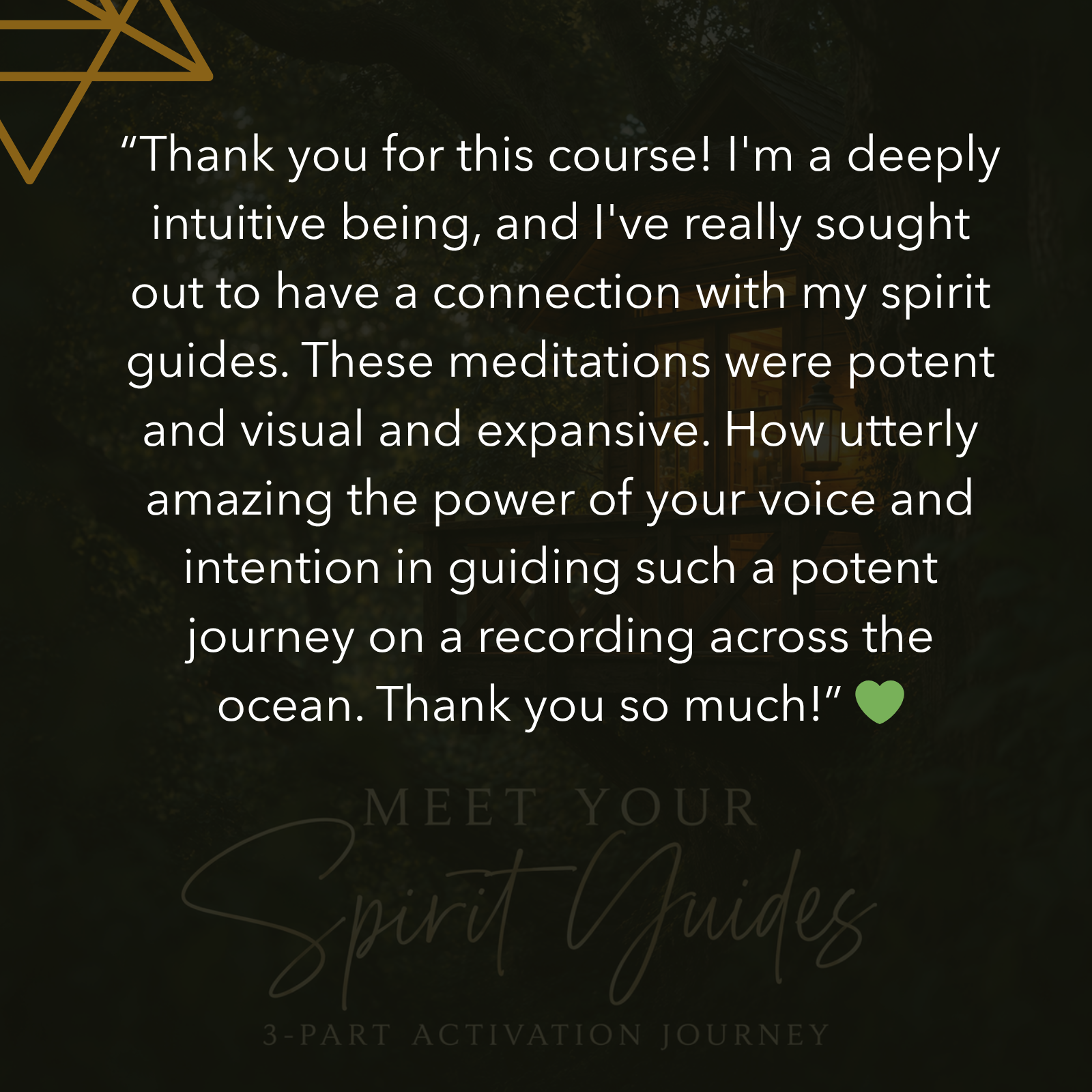 Testimonial Meet your Spirit Guides (2).png