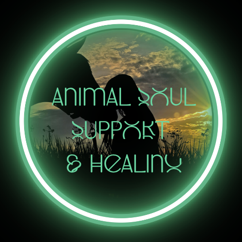 Animal Soul Support and Healing