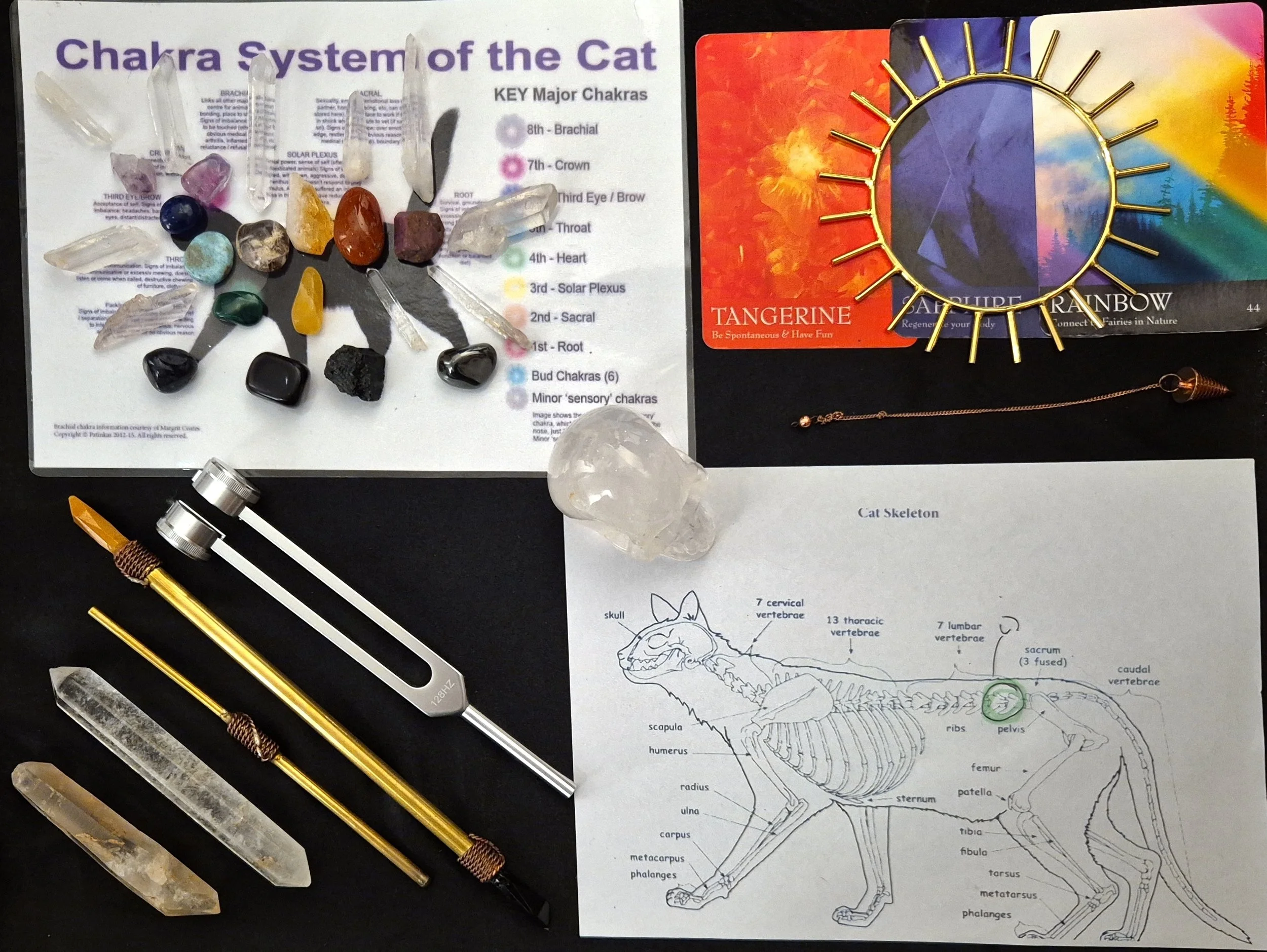 Crystals, animal anatomy and energy healing resources used in intuitive animal healing and wellbeing support