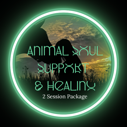 Animal Soul Support & Healing - 2 Session Package