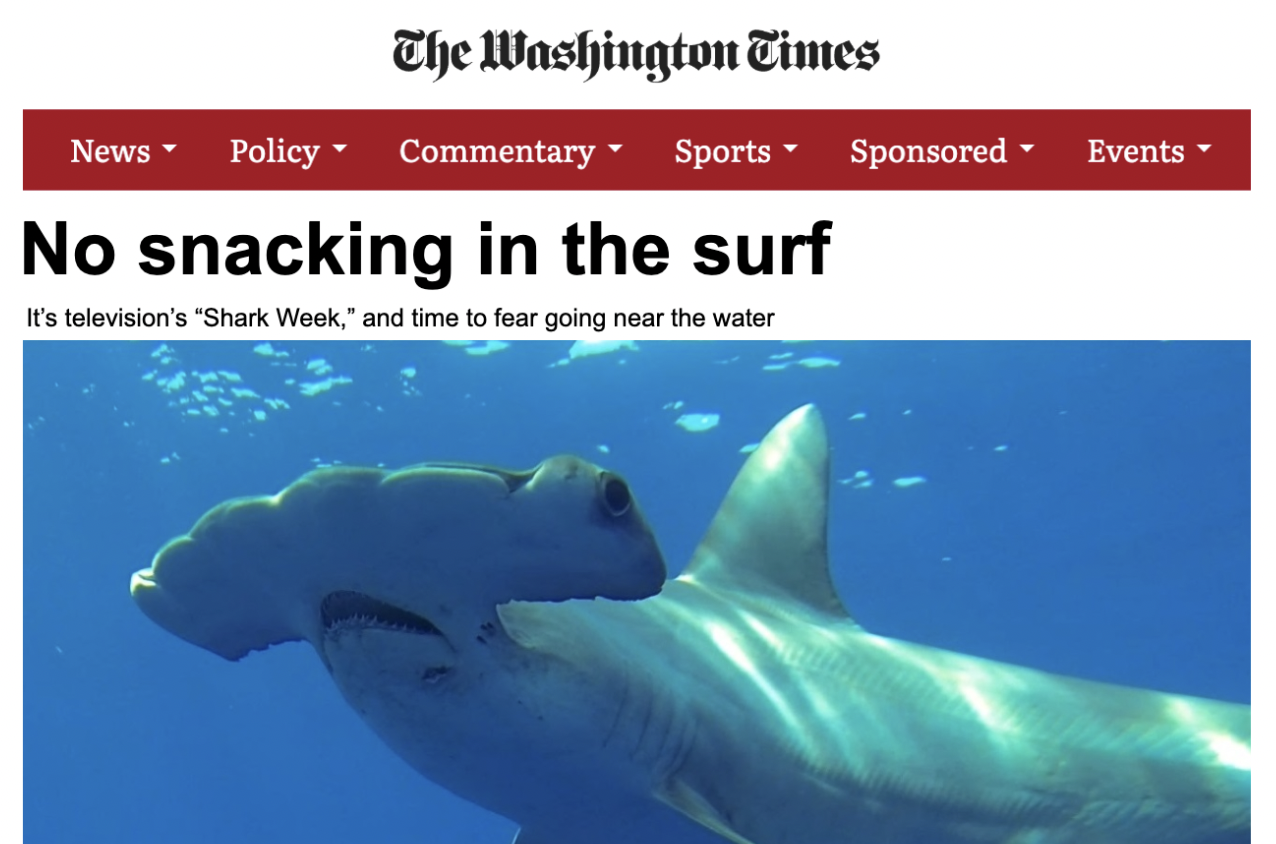 Paper 1 Analysis — Editorial