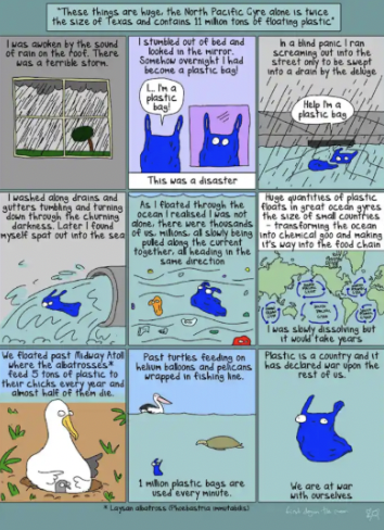 IB English Past Paper 1 The Blue Plastic Bag by First Dog on the Moon