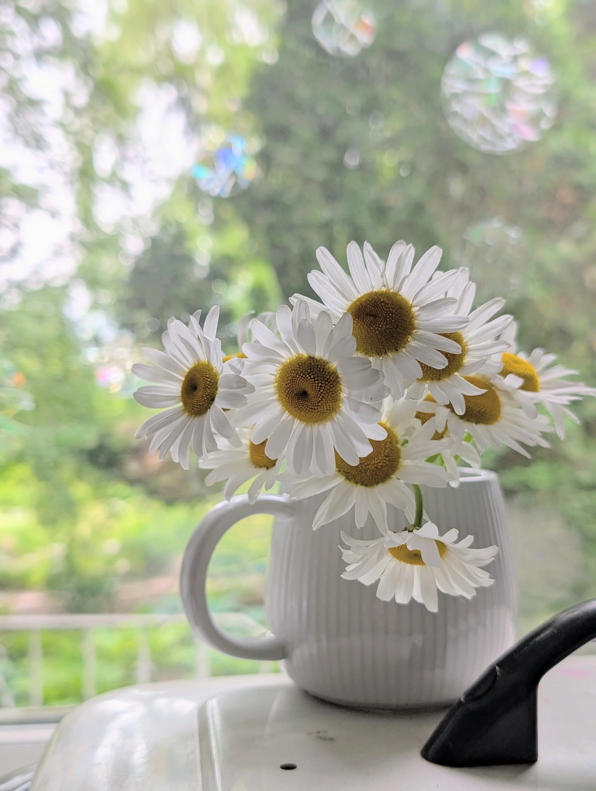 We are all flowers 