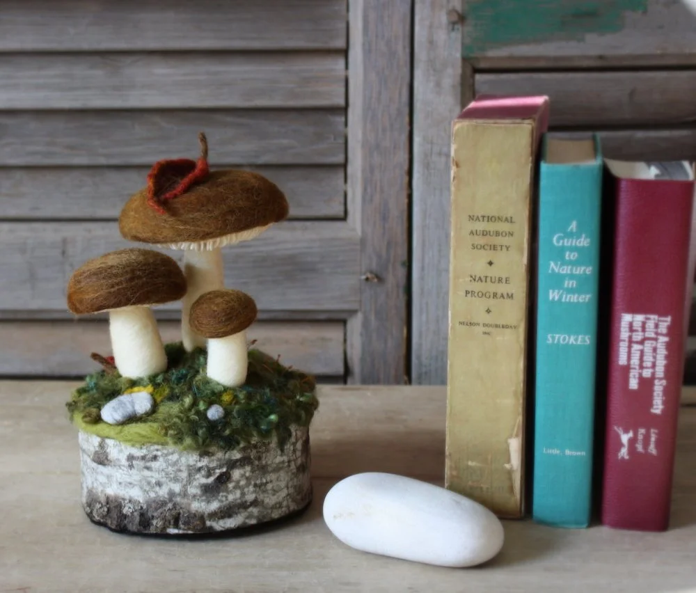 felted brown mushrooms.JPG