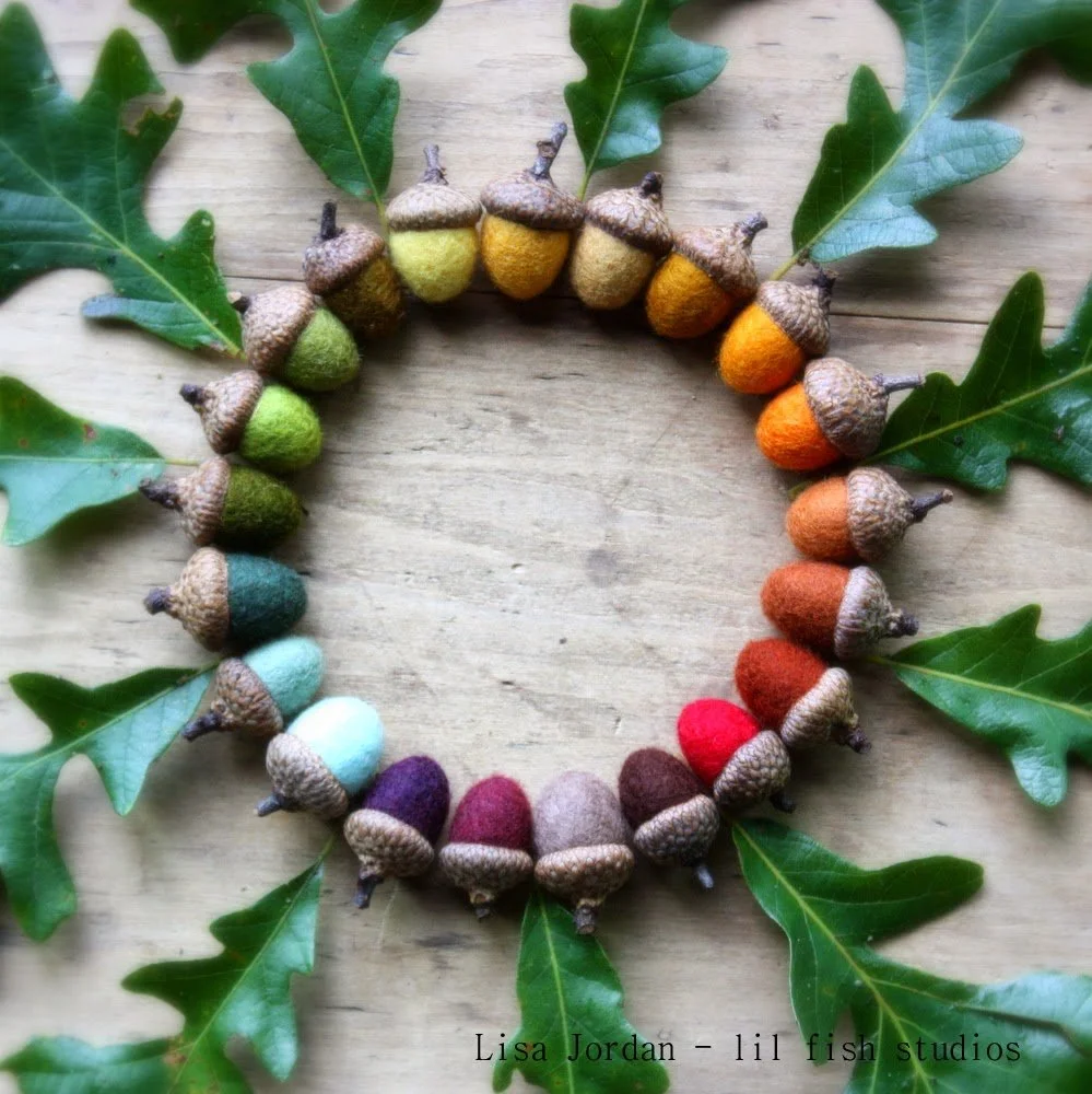 acorn rainbow leaves.JPG