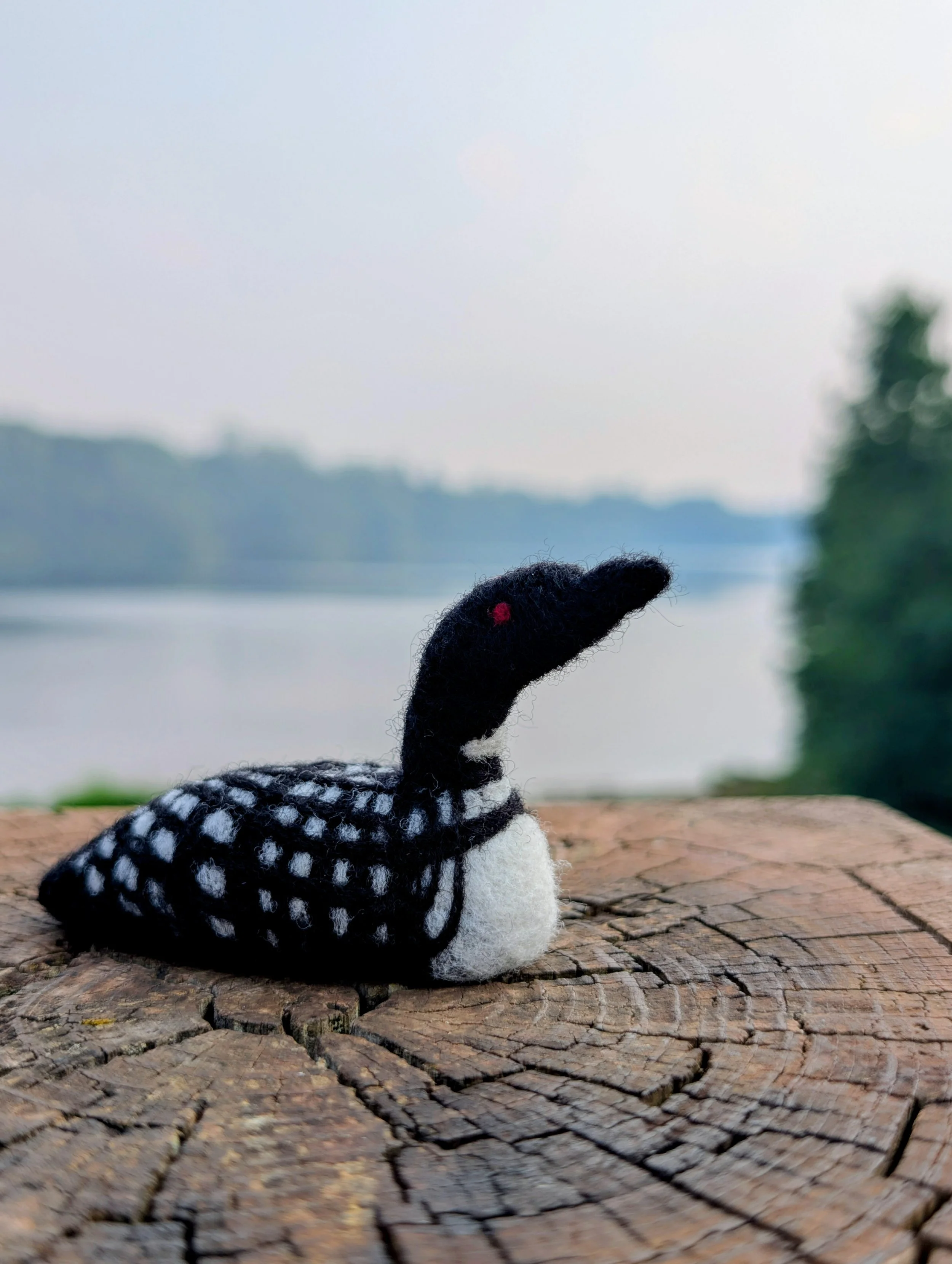 Needle felted loon workshop at Campfire Bay Resort