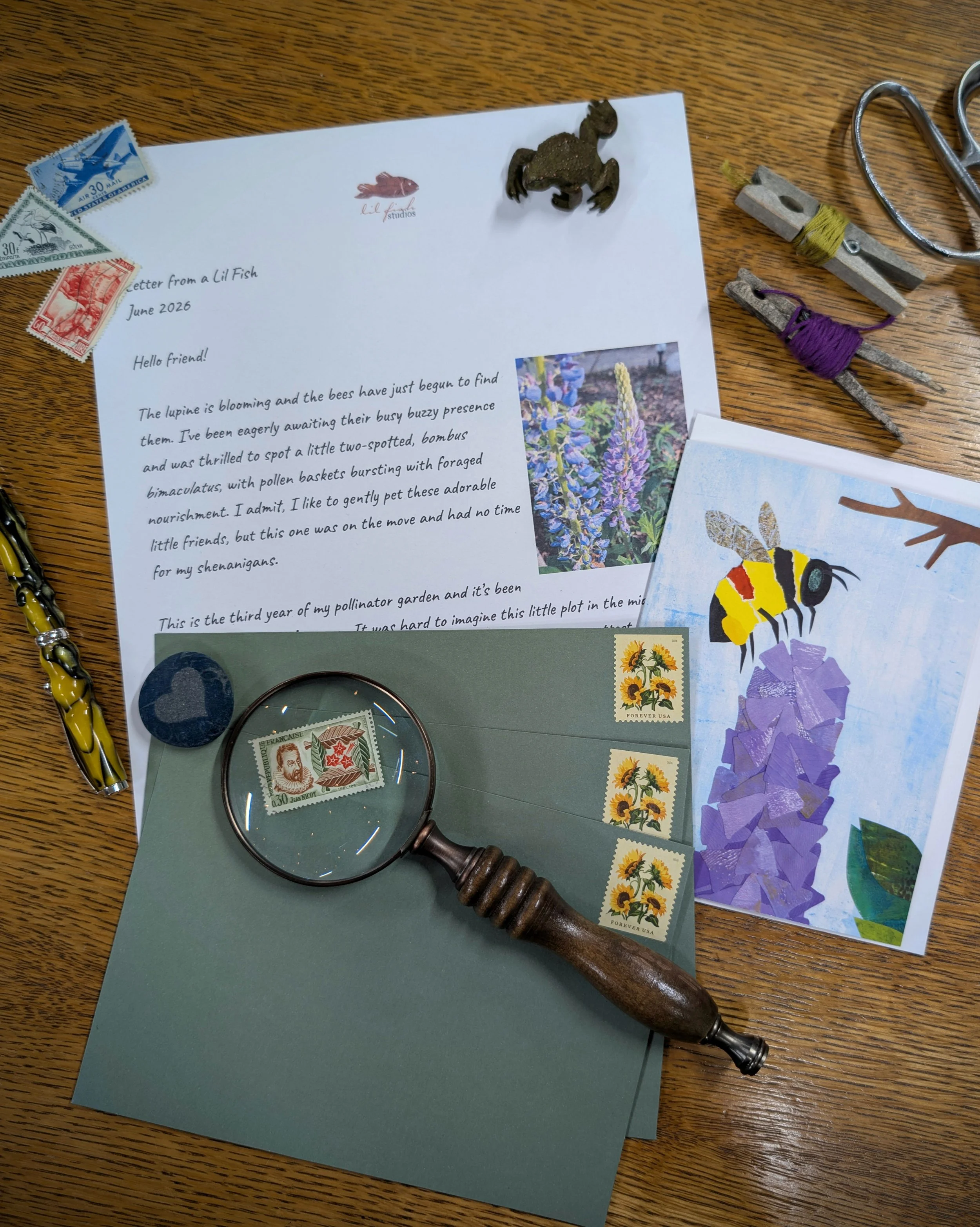 Letters from a Lil Fish - monthly mail from me to you