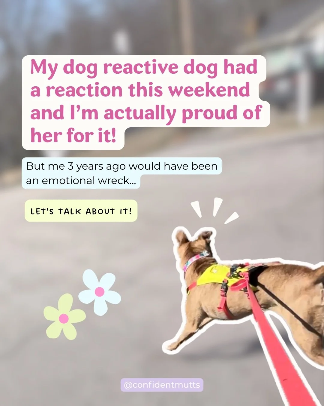 Yes, I&rsquo;m a professional dog trainer and behavior consultant and yes, my dog still has reactions!

I&rsquo;ve done a lot of training with Remi over the years and even still, I&rsquo;m not going to expect her to never have a reaction even again. 