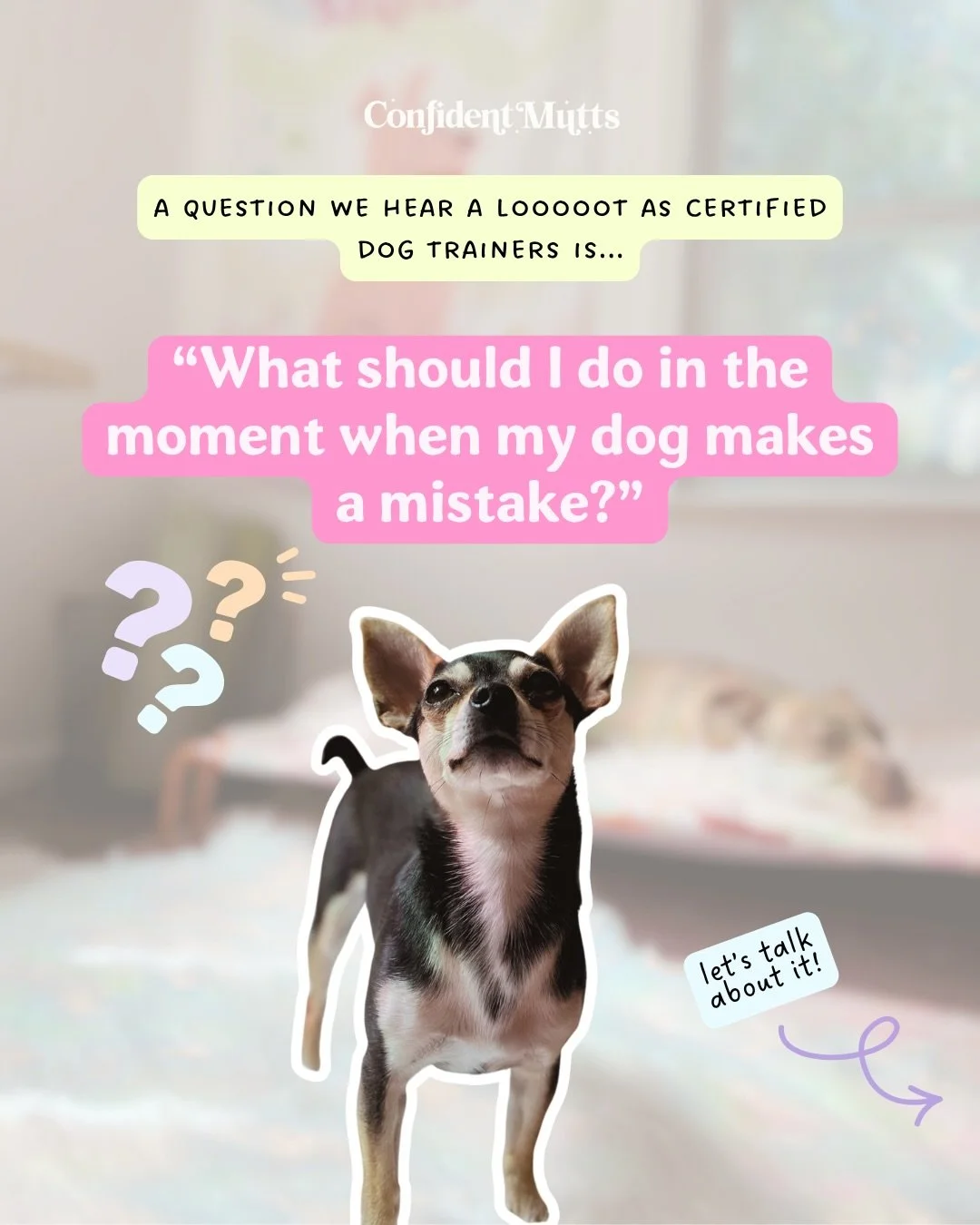 Mistakes! Or as Bob Ross calls them, happy little accidents!

When it comes to mistakes in dog training, we use them as information. They let us know soooo much about where the dog is at, if we&rsquo;re going too fast with training, and how comfortab