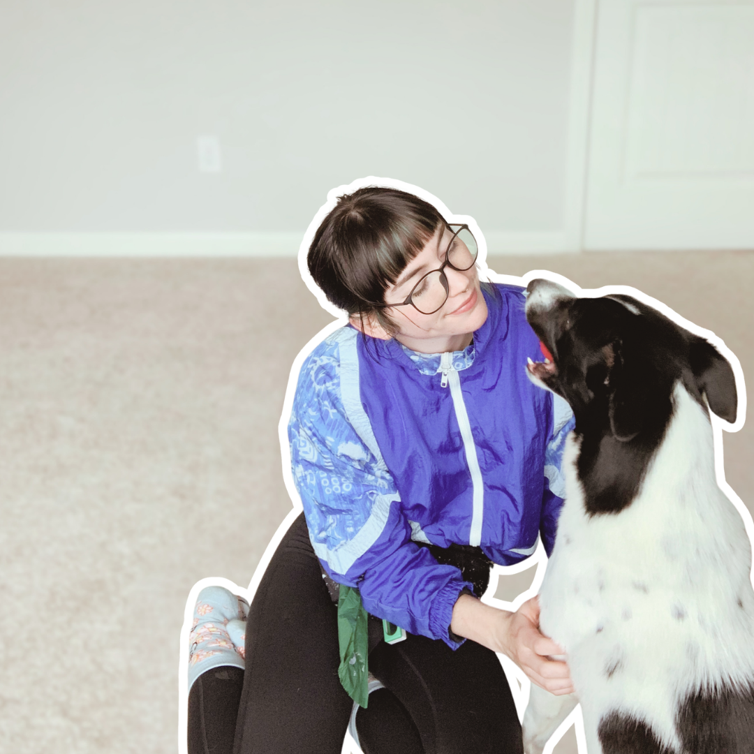 A letter to the dog I adopted 6 years ago and lost to behavioral euthanasia.