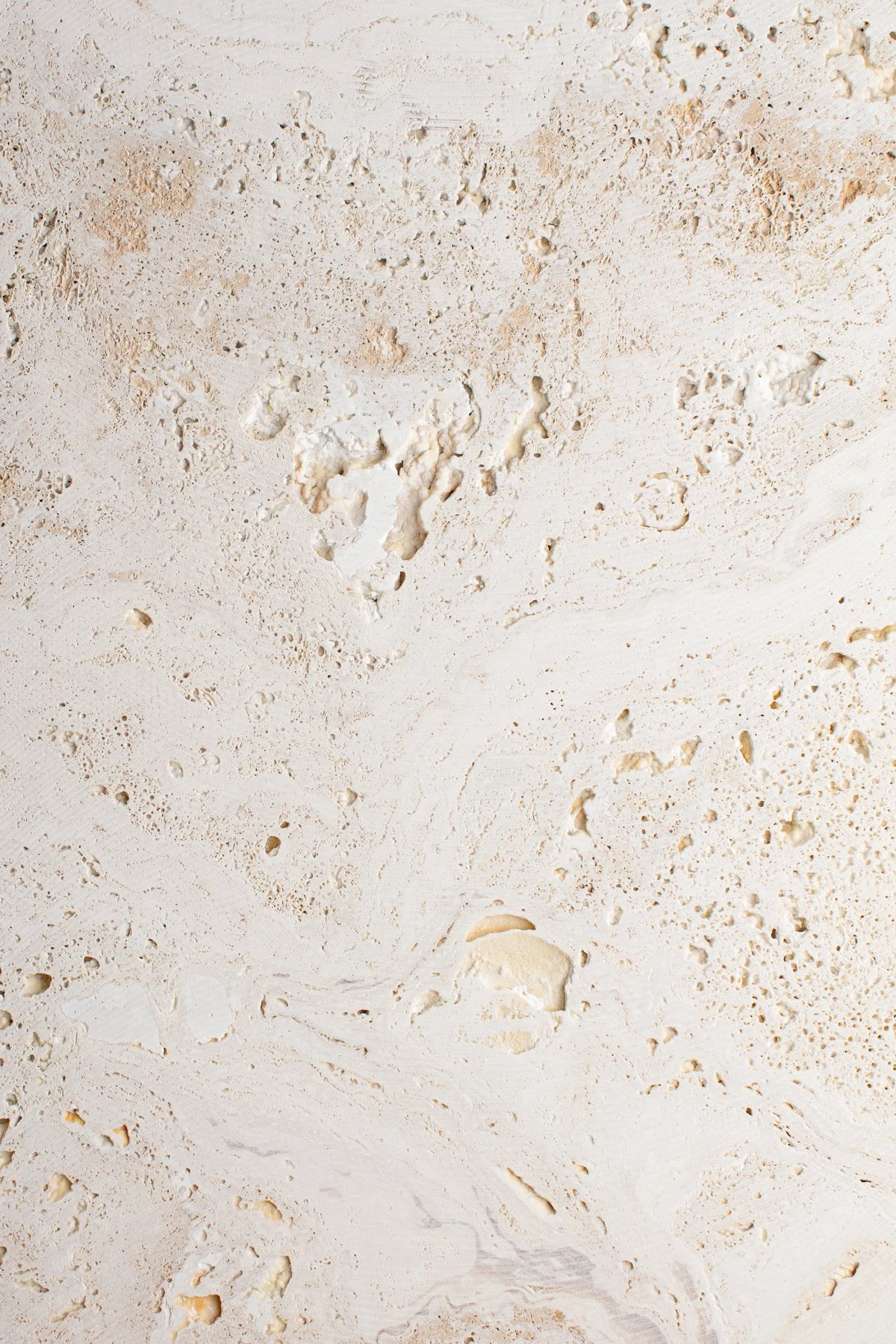 Elevae_23_0000005600-1.jpg