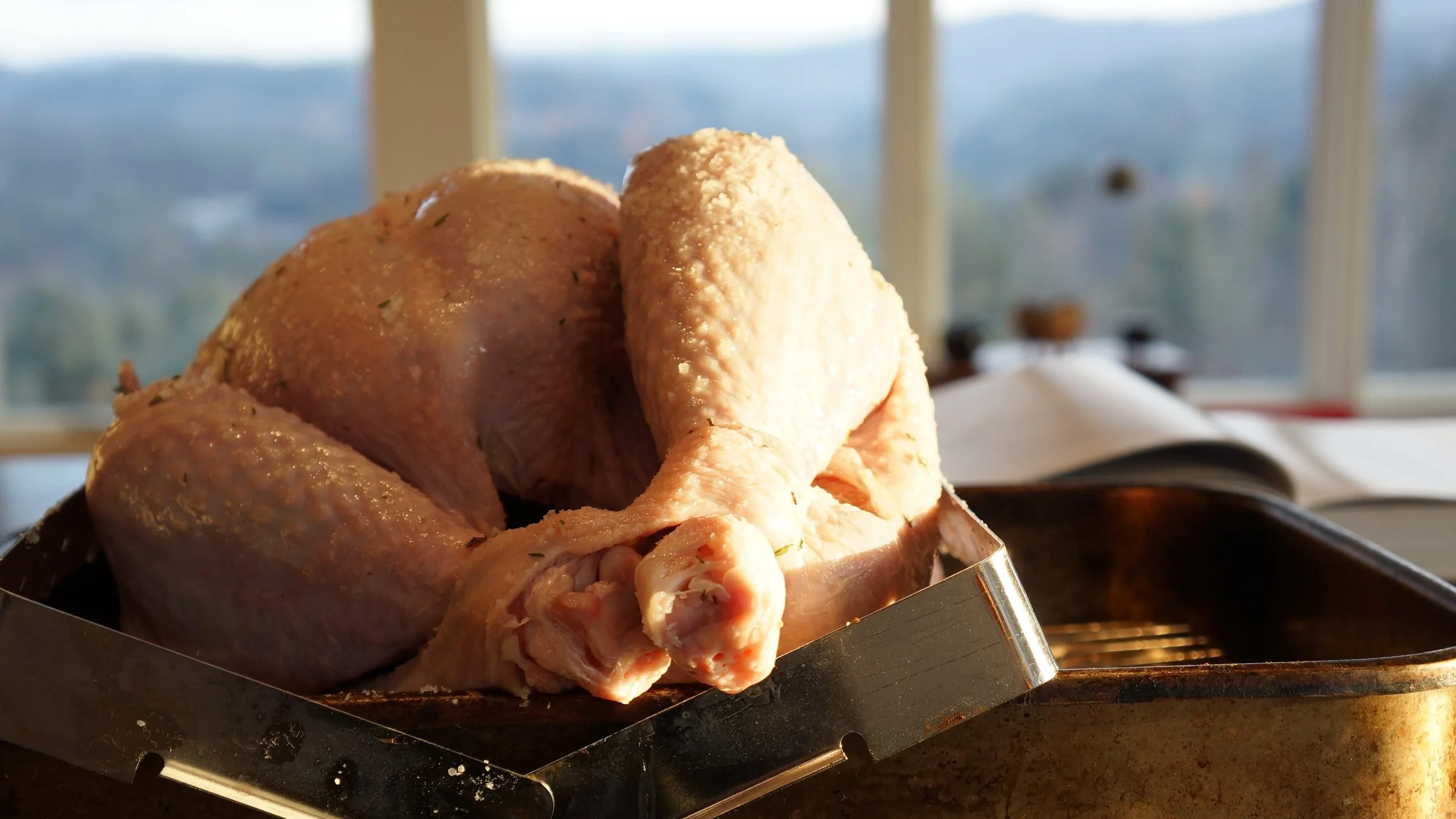 Thanksgiving show sampler for you