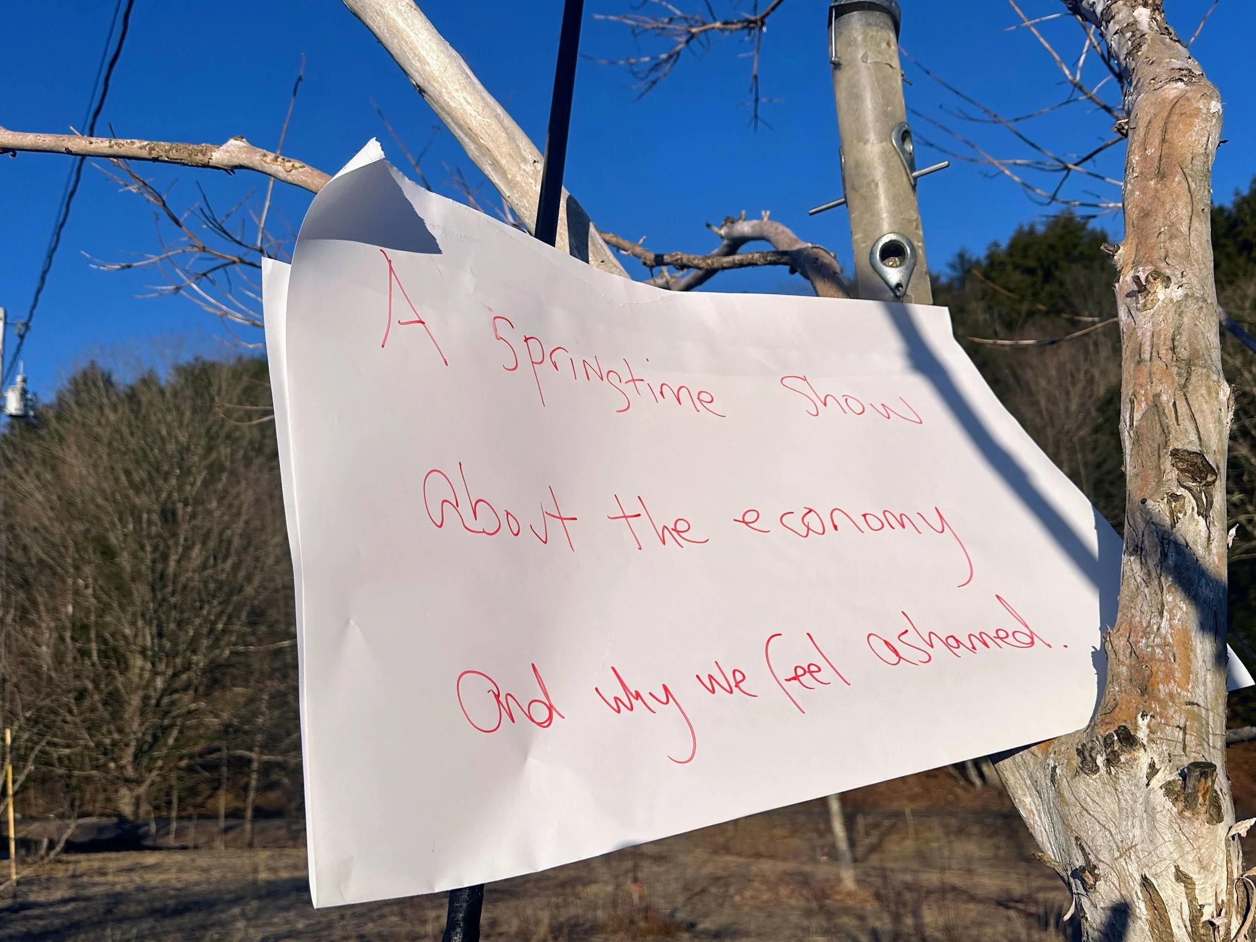 A springtime show about the economy that partly explains why we feel ashamed