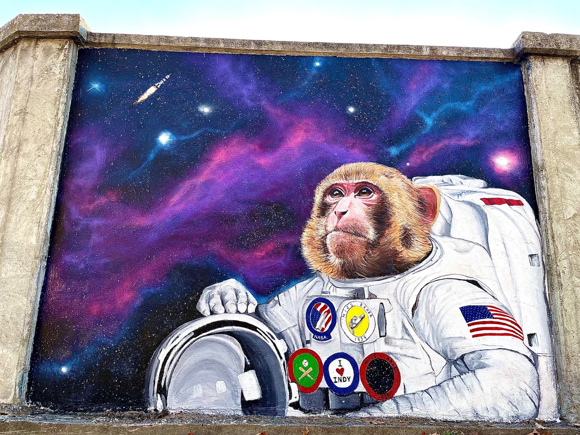 Able Space Monkey Mural