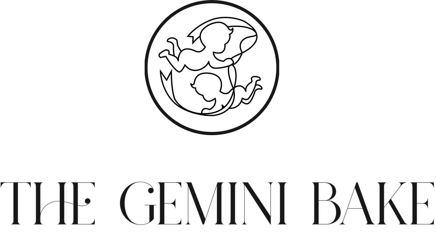 THE GEMINI BAKE