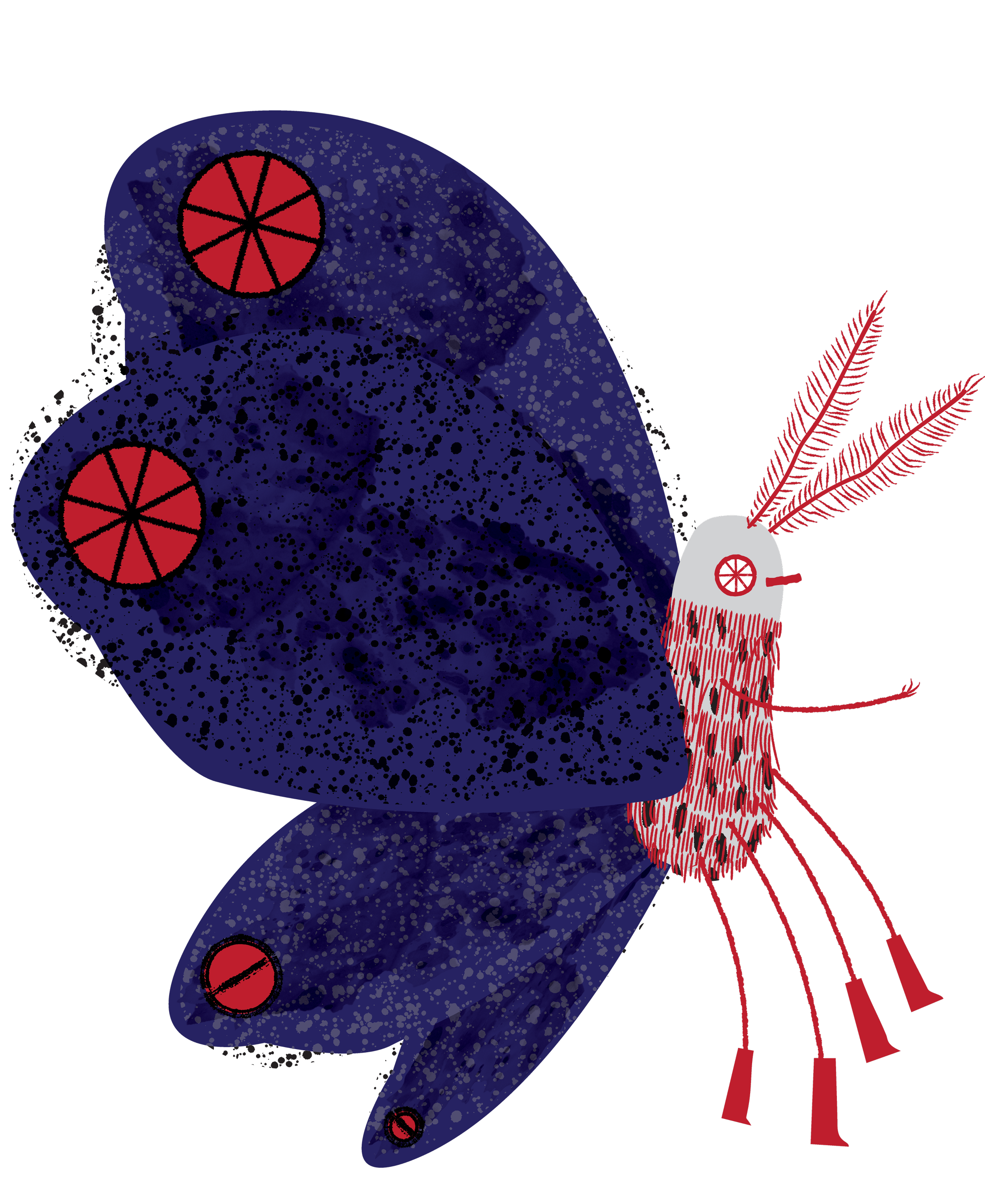 MOTH_3.png