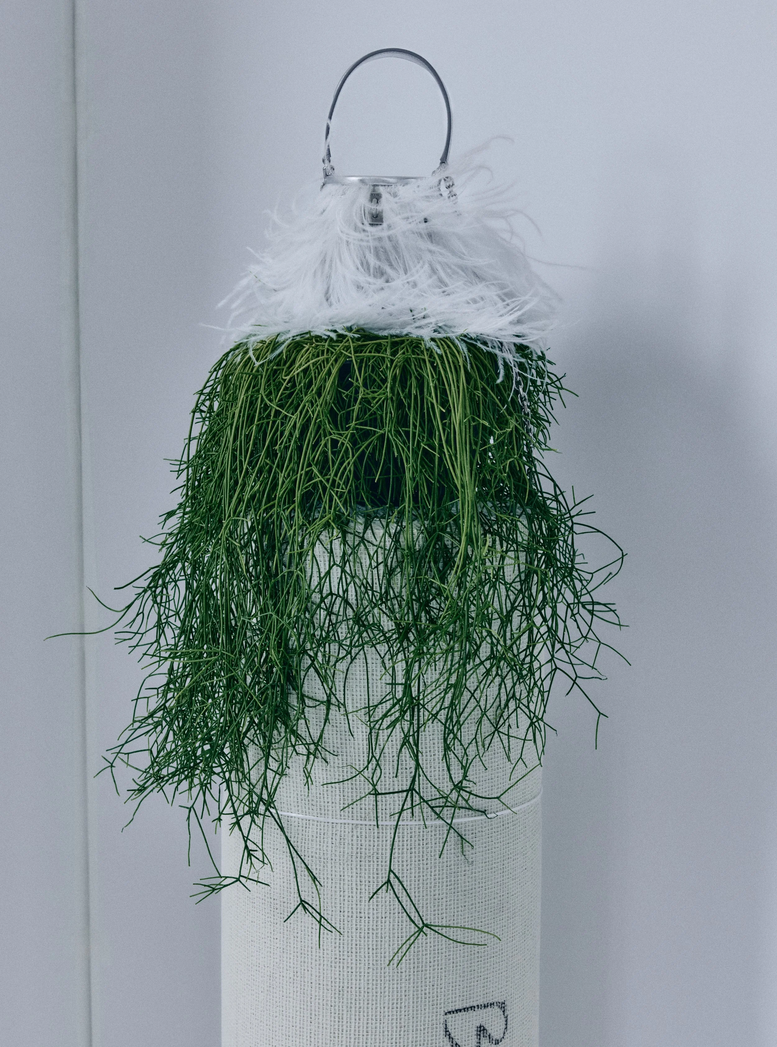 Beyond_Noise_Thomas_Rousset0162 (4).jpg