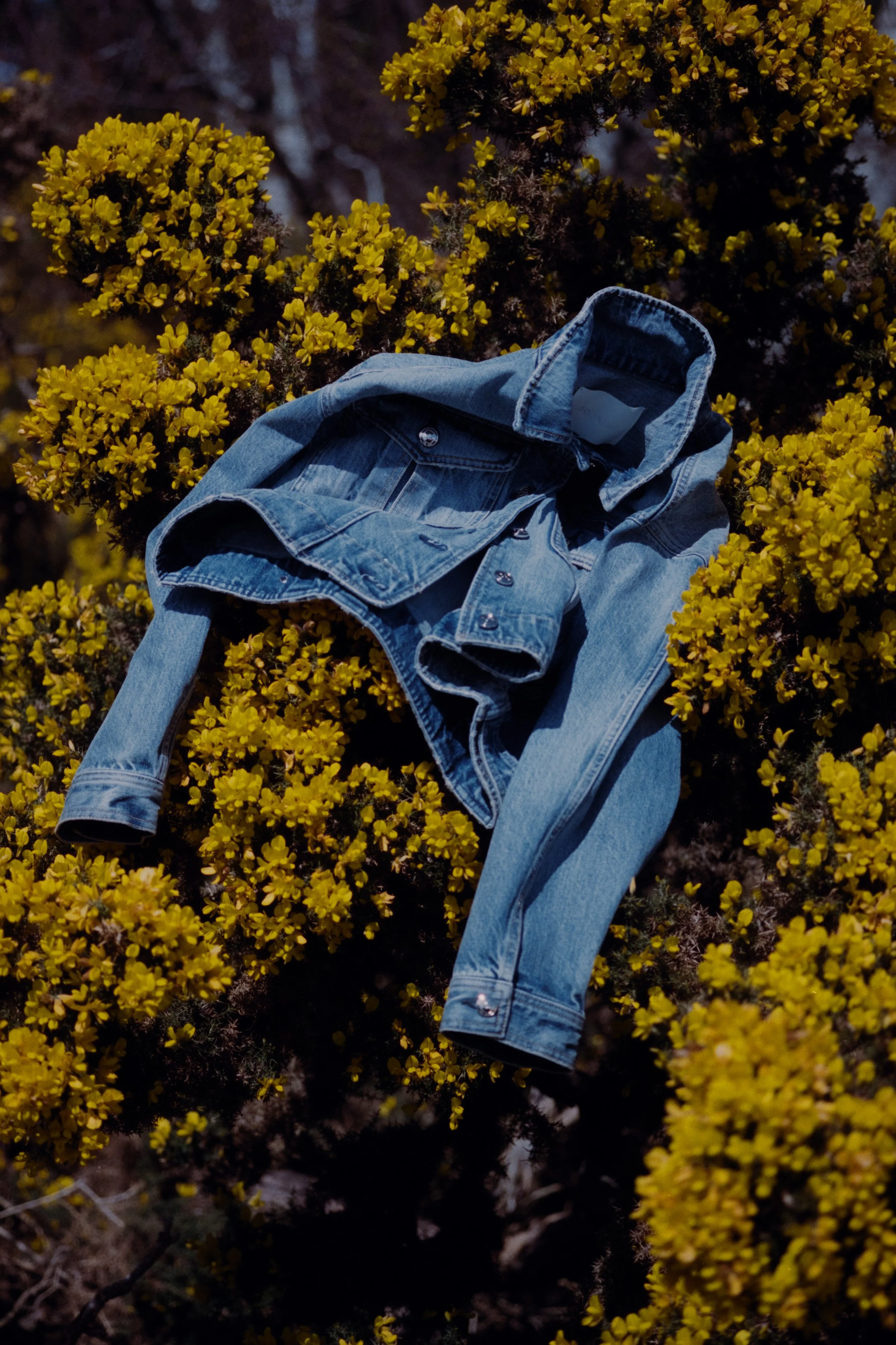 Ruadh_2024_DSCF3619 copy 2 (2).jpg