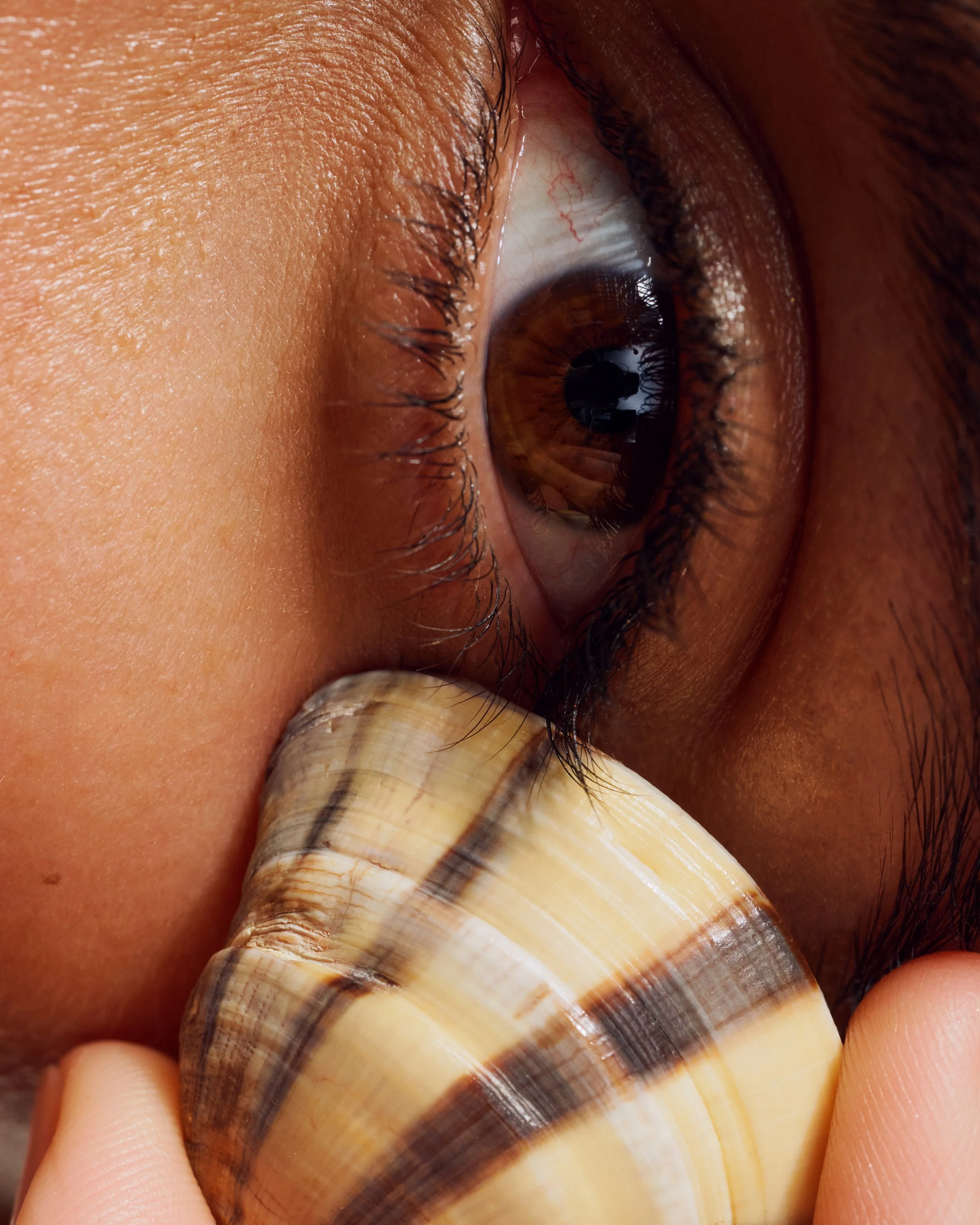 28_BetinaduToit_MIST_830 copy (1).jpg