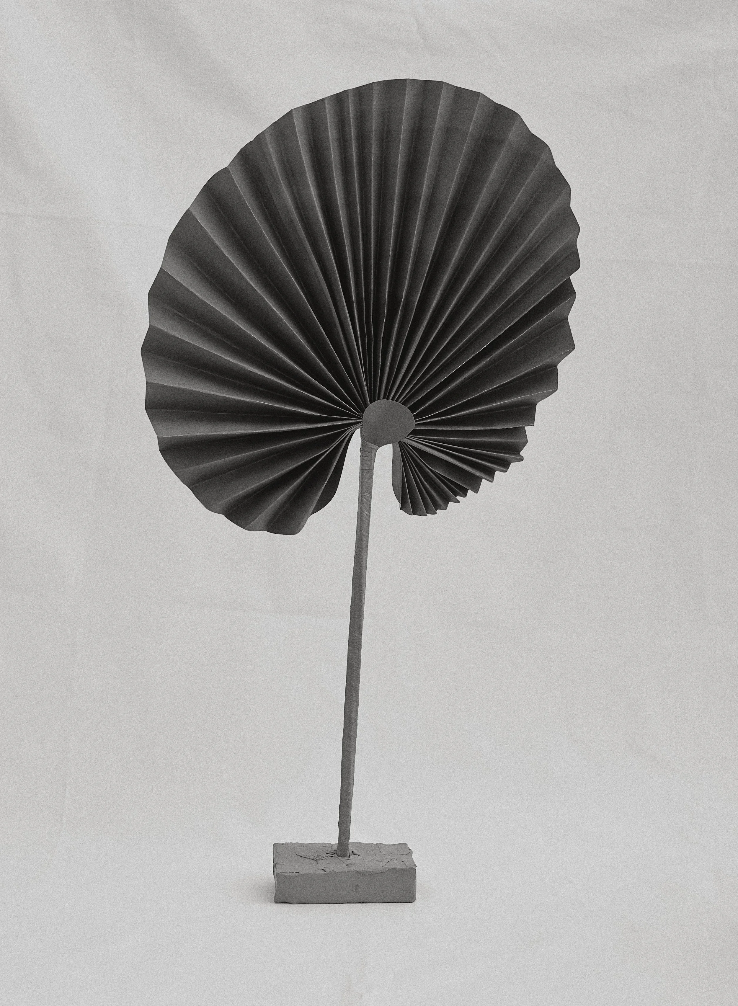 20180121_Nicotine_0361 copy.jpg