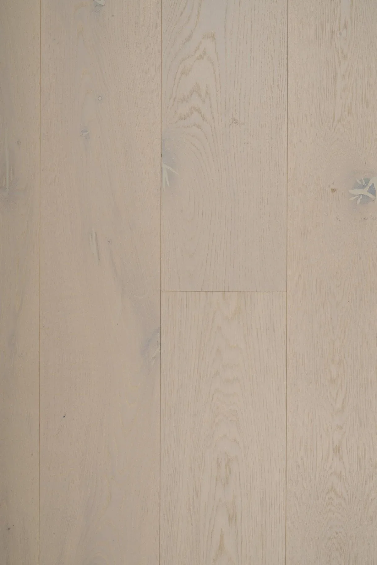 Chianti Character 7.5”