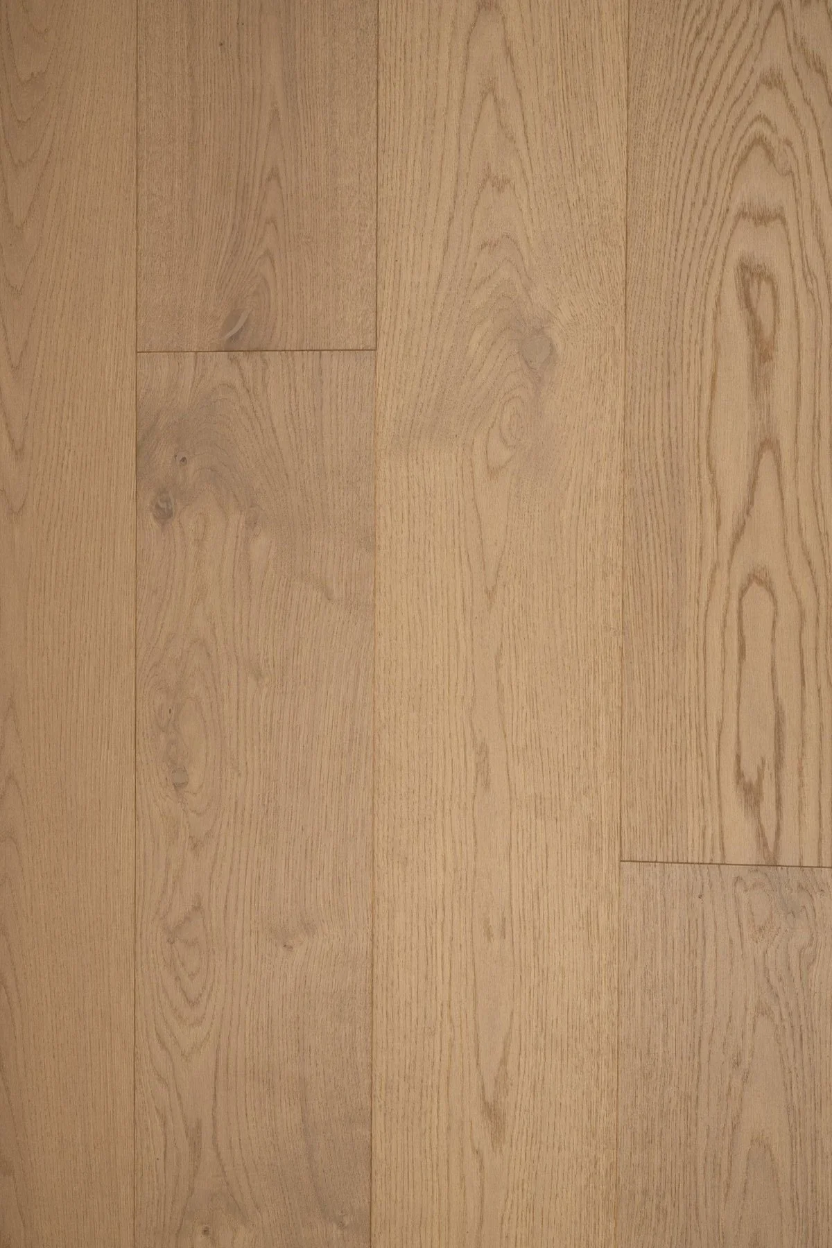 Abruzzo Character 7.5”