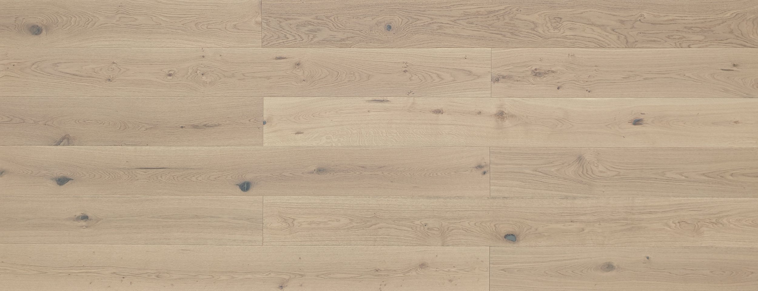 NFH483 春分色 (2).jpg