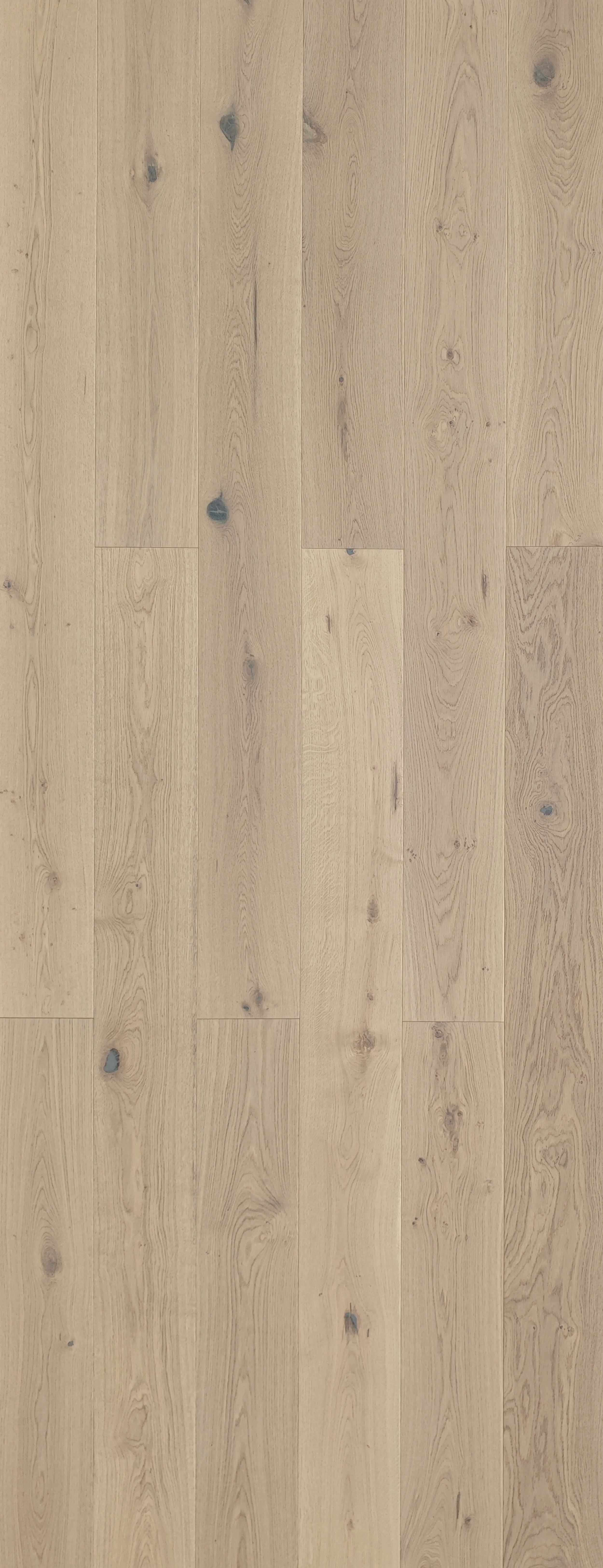 NFH483 春分色 (3).jpg