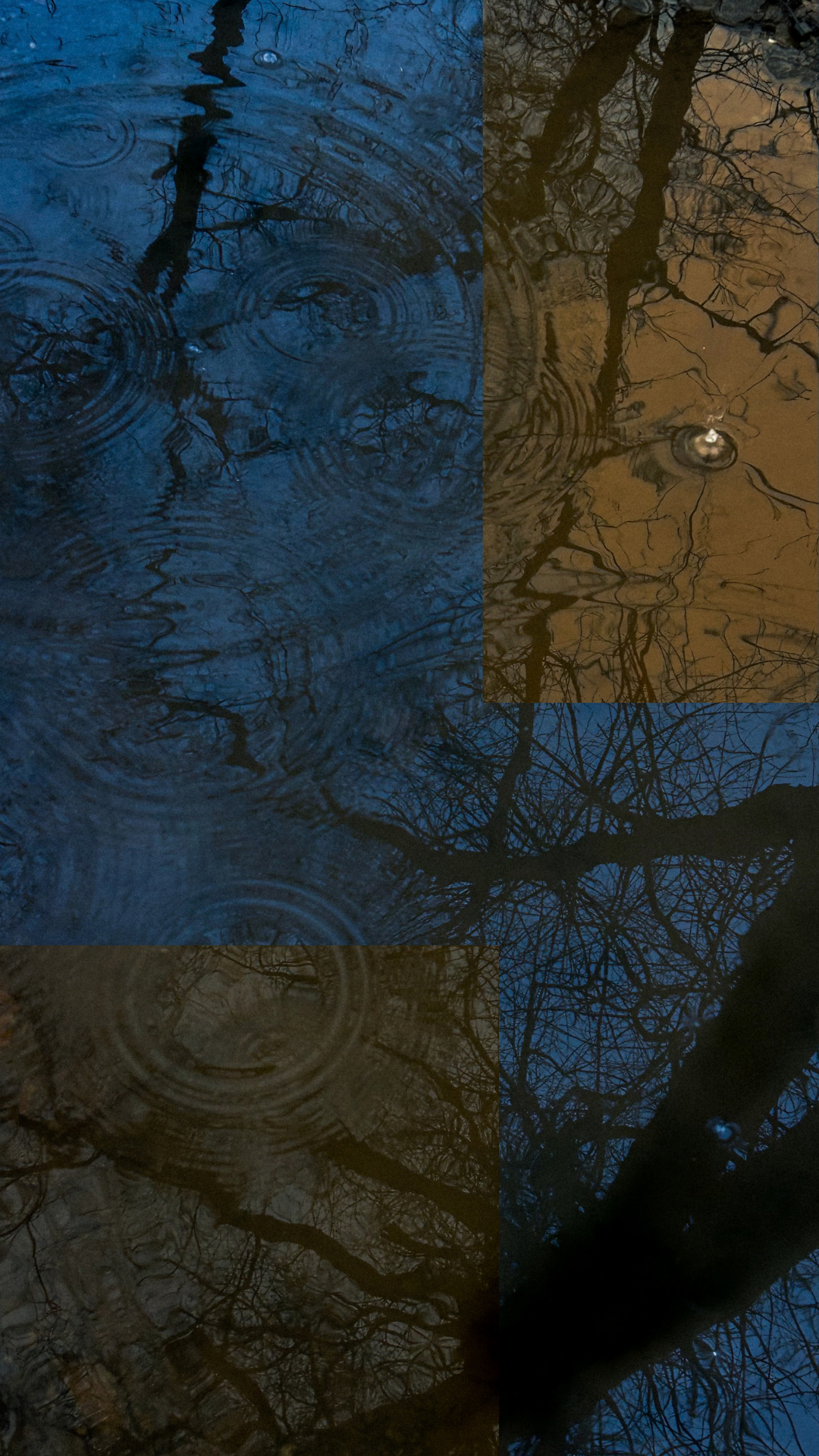 pond.png