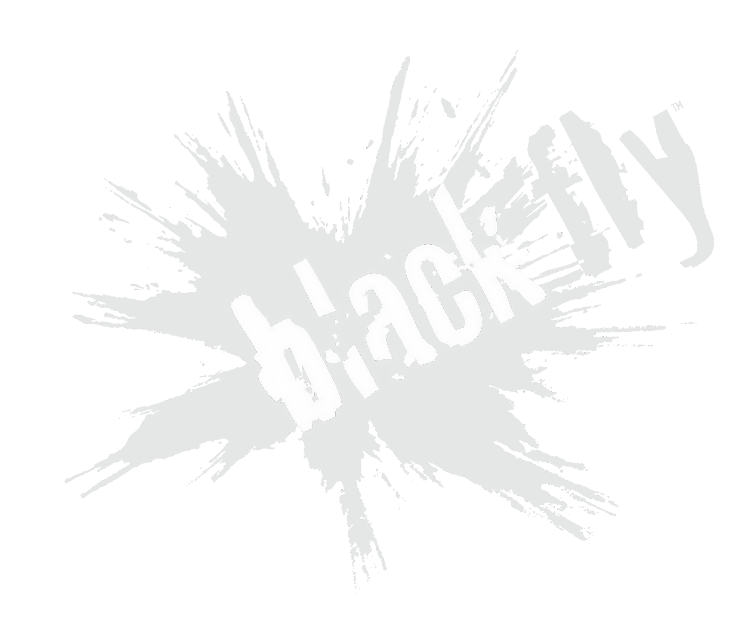BlackFlyLogo.png