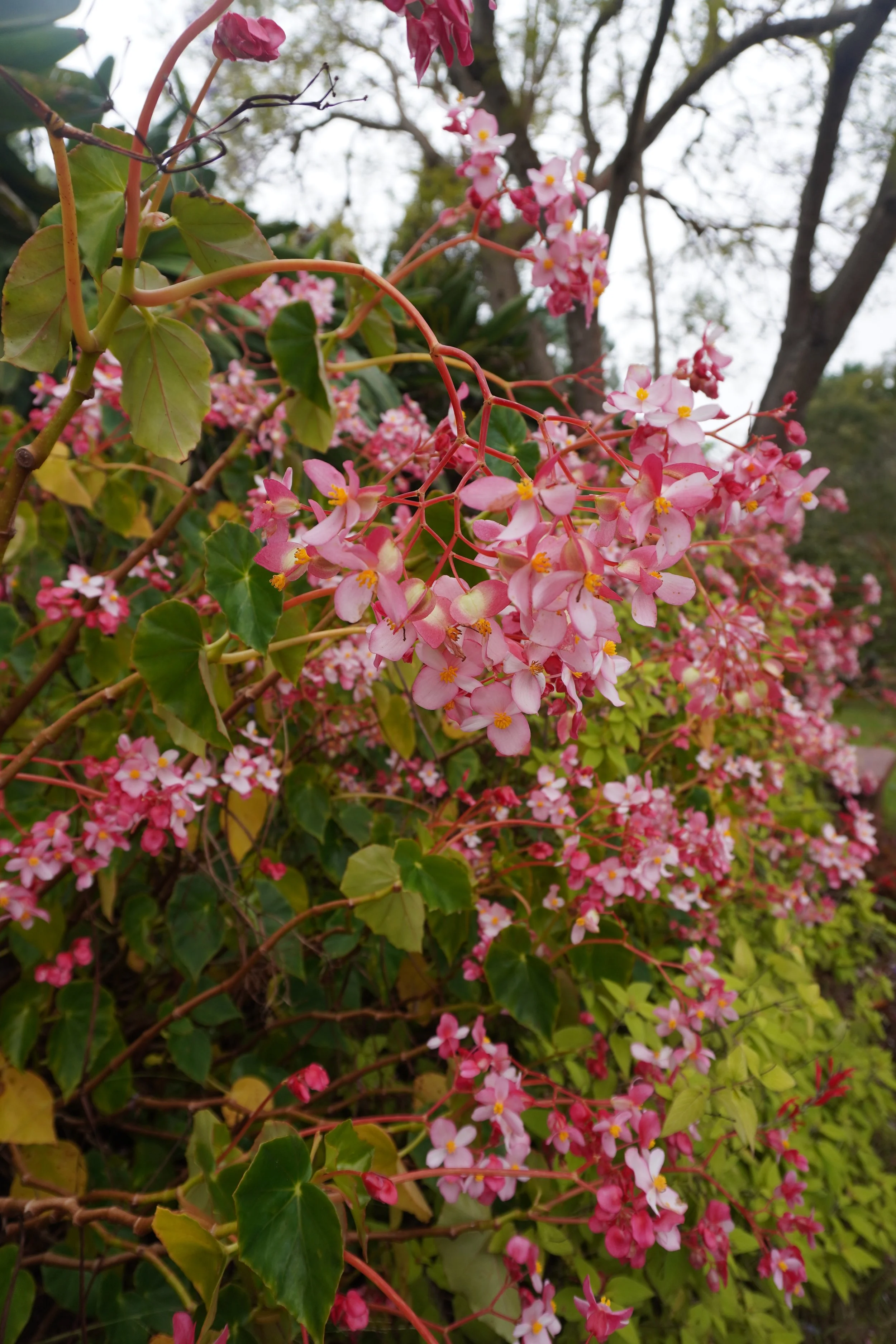 DSC05759.JPG