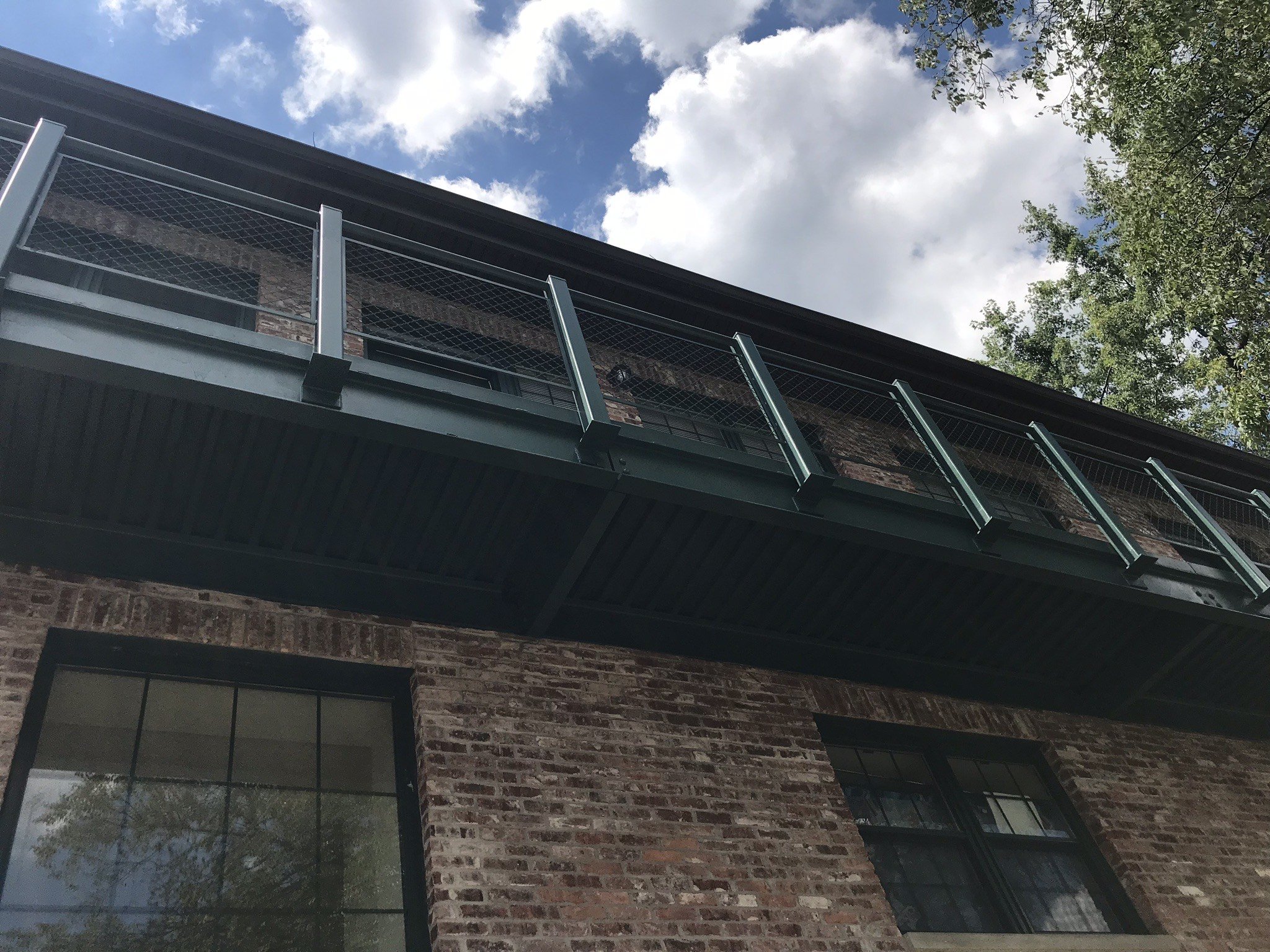 image_123650291 (1).JPG