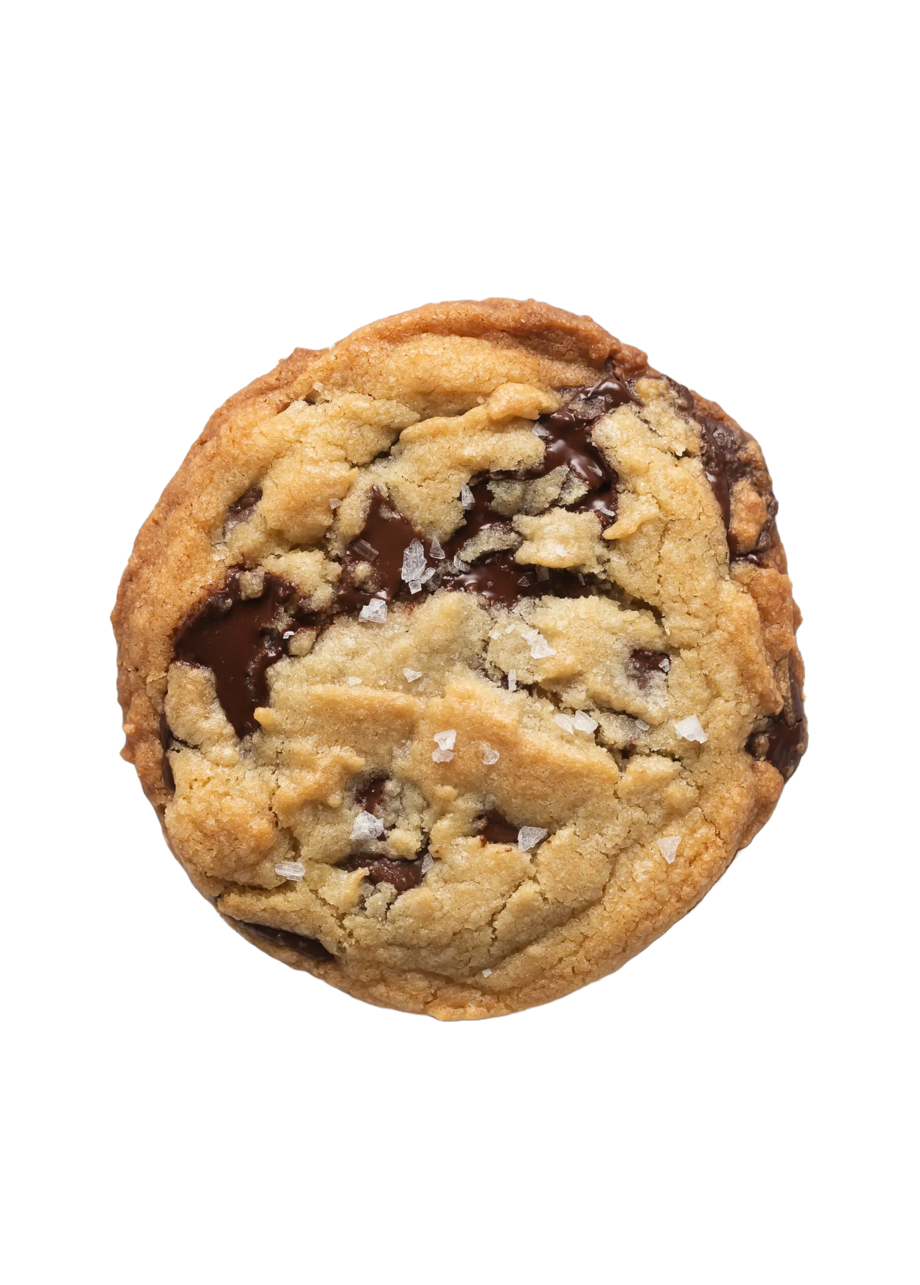 file (4).png