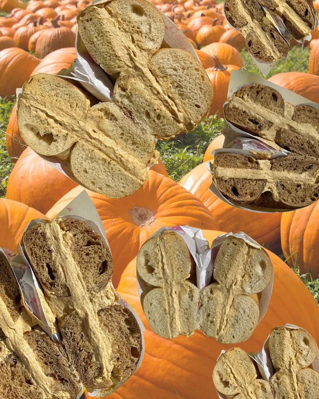 IT&rsquo;S A BAD DAY 2 B A BAGEL W/ #PUMPKINSPICE CREAM CHEESE BUT A GREAT DAY 2 B U 😘 

P.S. TO WHOEVER TAGGED OUR WALL: KINDA IMPOLITE BUT ALSO KINDA FUNNY. ALSO YOUR SMILEY FACE KINDA LOOKS LIKE A 17 OR 19 💨