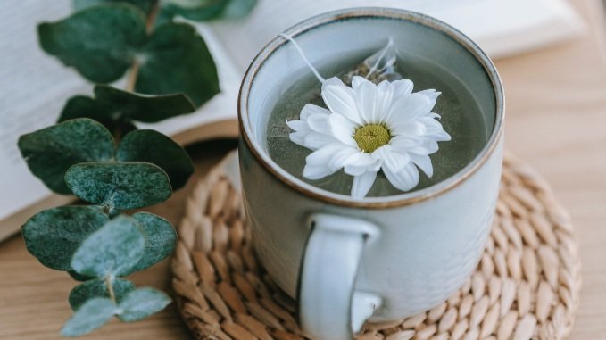Comprehensive Home Detox Program