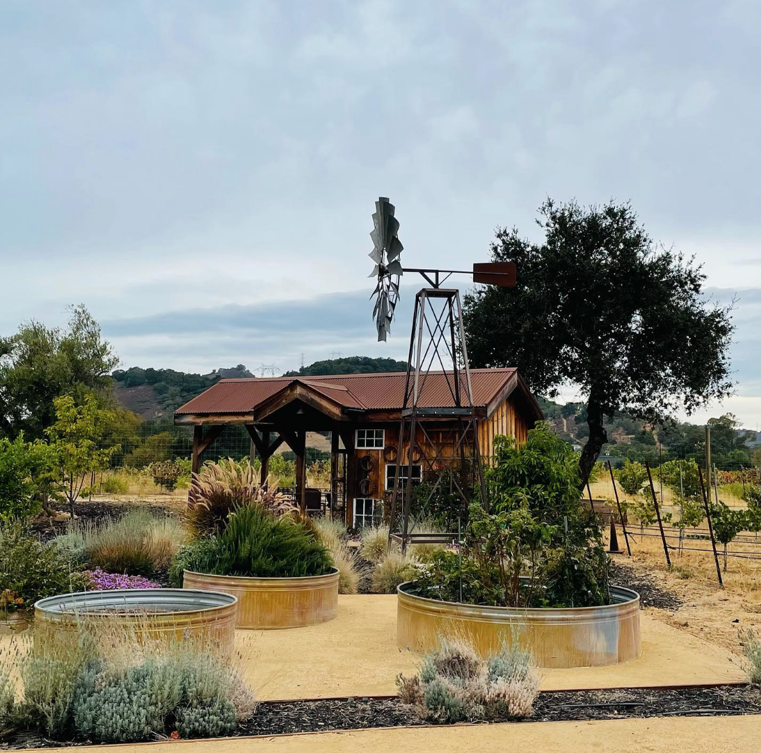 Horse Thief Vineyards