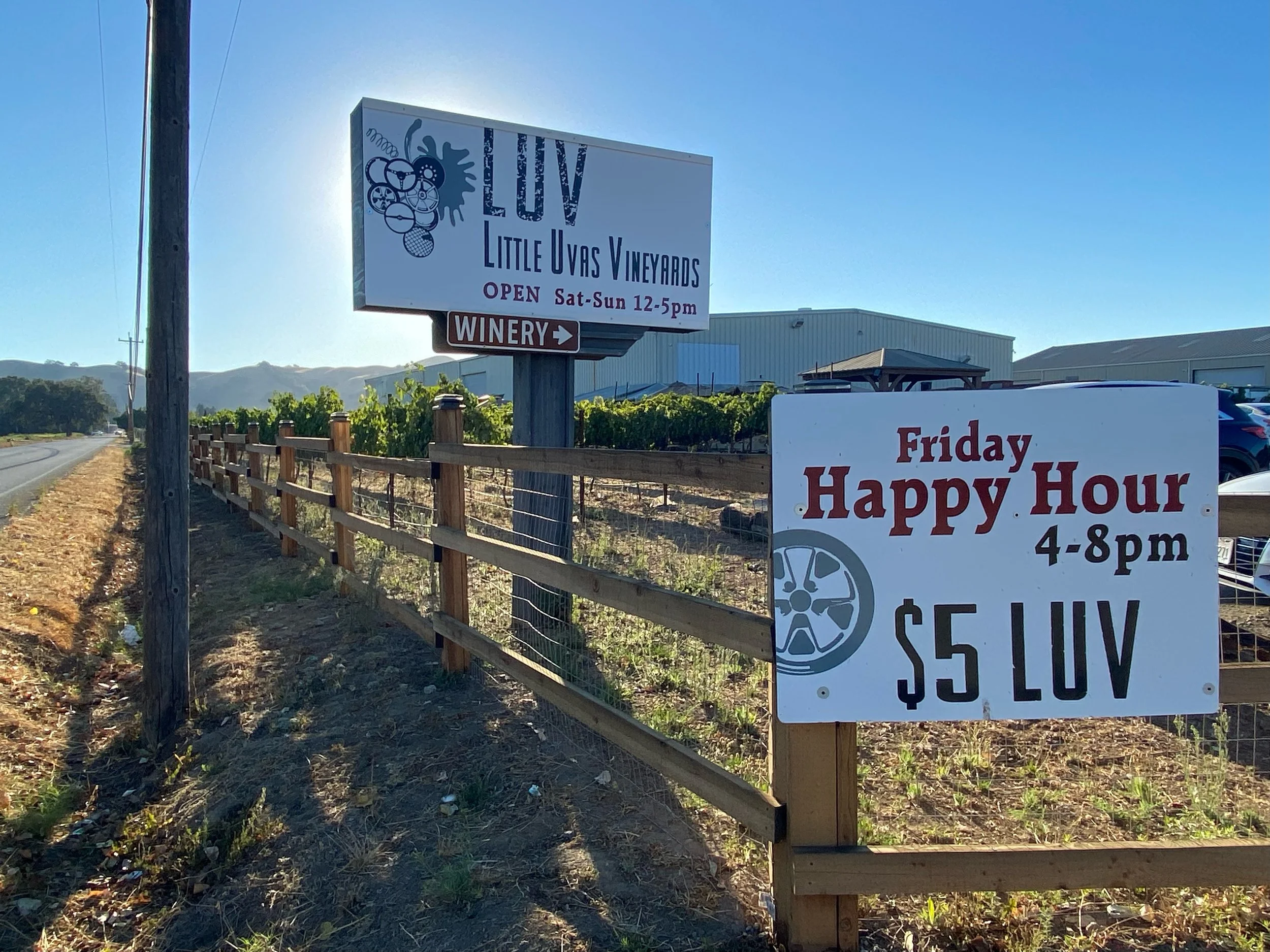 Little Uvas Vineyard